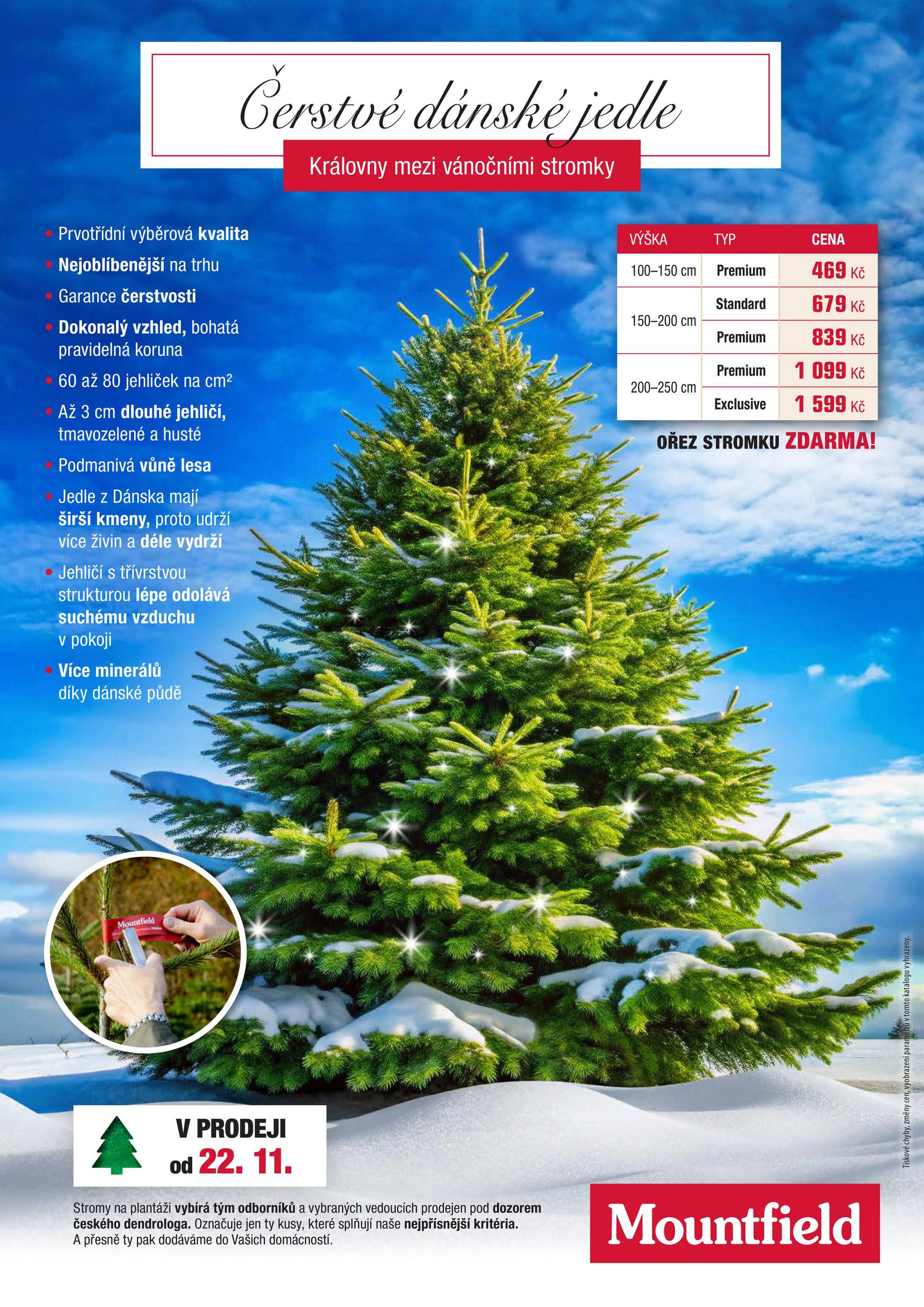 mountfield - Leták Mountfield - Vánoce 2024 od 11.11. do 24.12. - page: 11