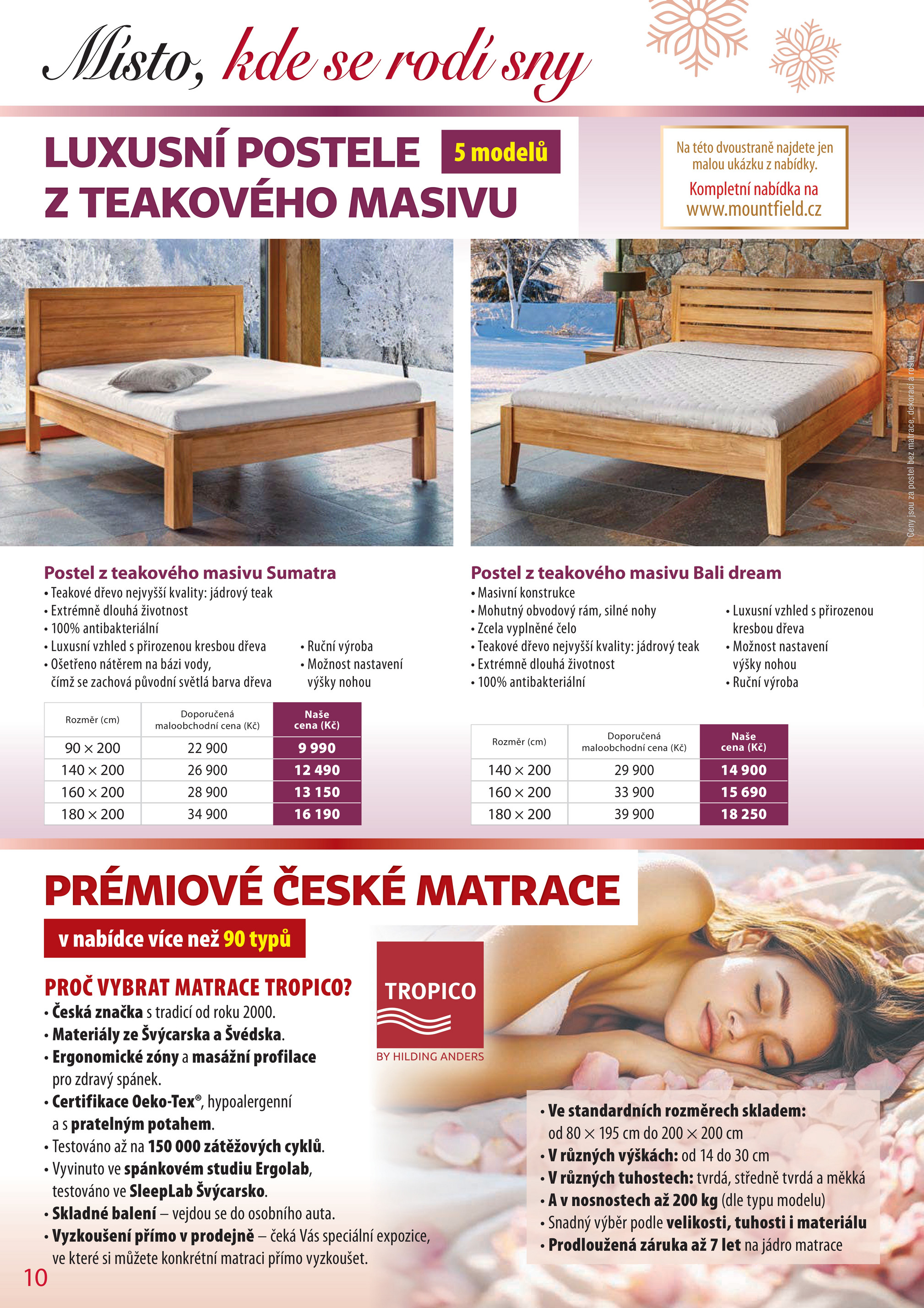 mountfield - Aktuální leták Mountfield - Vánoce od 01.01. do 31.01. - page: 10