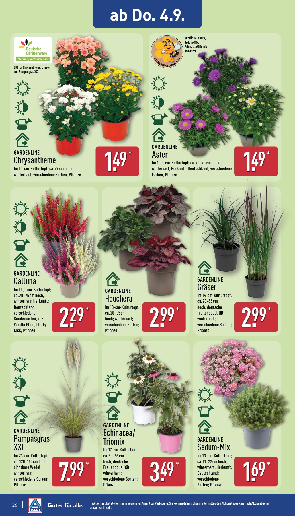 aldi-nord - ALDI NORD-Prospekt gültig vom 01.09. bis 06.09. - page: 26 aldi-nord - ALDI NORD-Prospekt gültig vom 01.09. bis 06.09. - page: 26