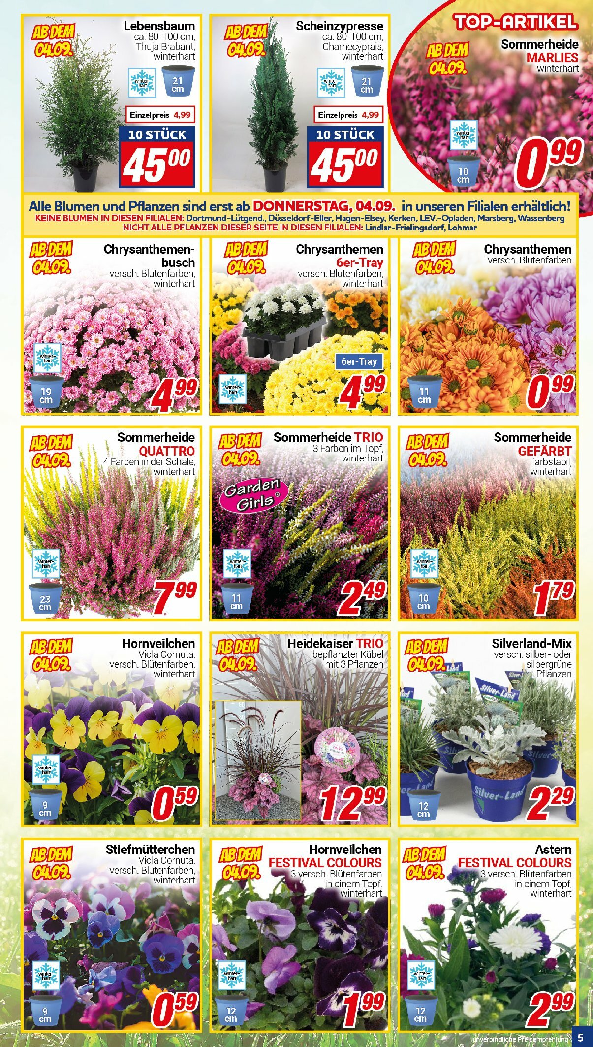 centershop - Centershop-Prospekt gültig vom 01.09. bis 06.09. - page: 5