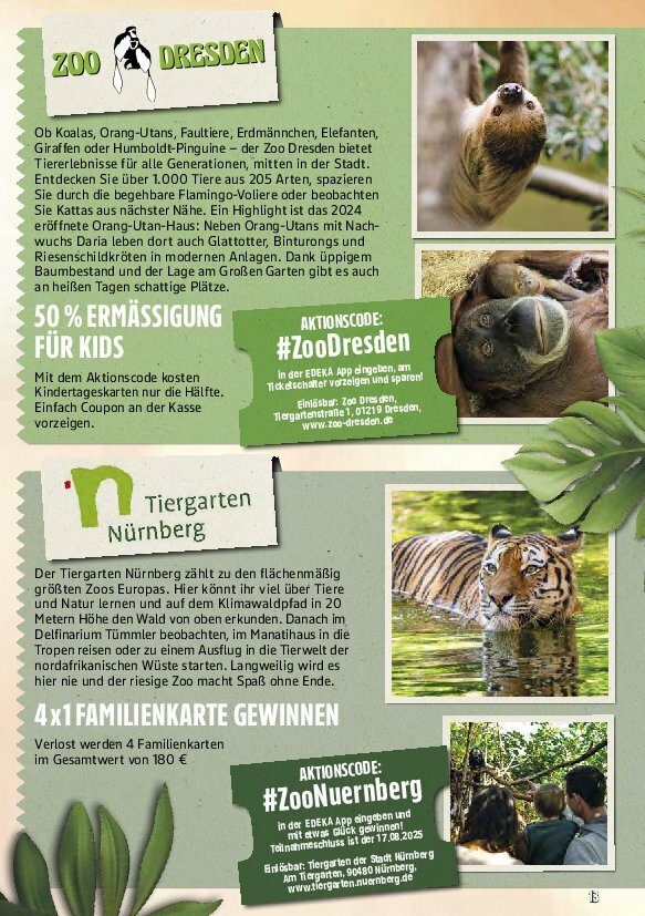 marktkauf - Marktkauf-Prospekt gültig vom 11.08. bis 16.08. - page: 57
