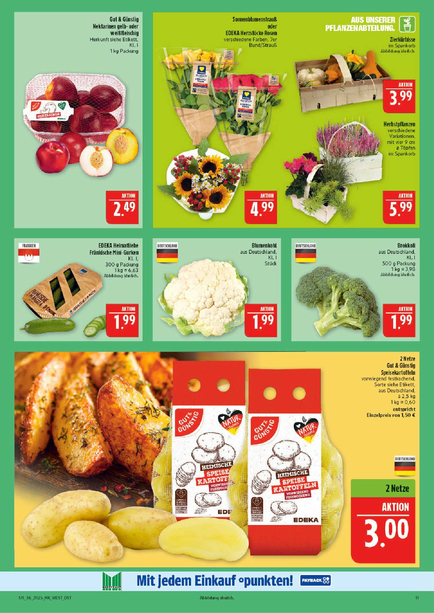 marktkauf - Marktkauf-Prospekt gültig vom 01.09. bis 06.09. - page: 11 marktkauf - Marktkauf-Prospekt gültig vom 01.09. bis 06.09. - page: 11
