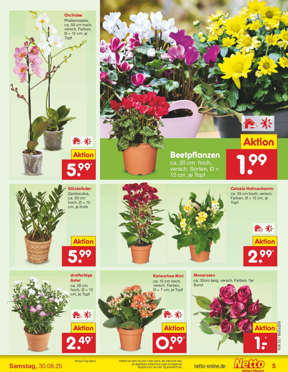 netto-marken-discount - Netto Marken Discount-Prospekt gültig vom 25.08. bis 30.08. - page: 5 netto-marken-discount - Netto Marken Discount-Prospekt gültig vom 25.08. bis 30.08. - page: 5