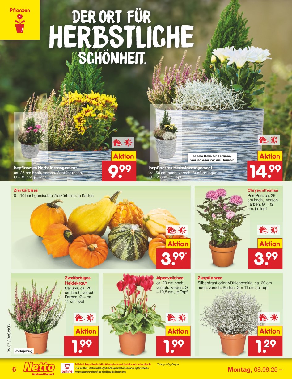 netto-marken-discount - Netto Marken Discount-Prospekt gültig vom 08.09. bis 13.09. - page: 8 netto-marken-discount - Netto Marken Discount-Prospekt gültig vom 08.09. bis 13.09. - page: 8