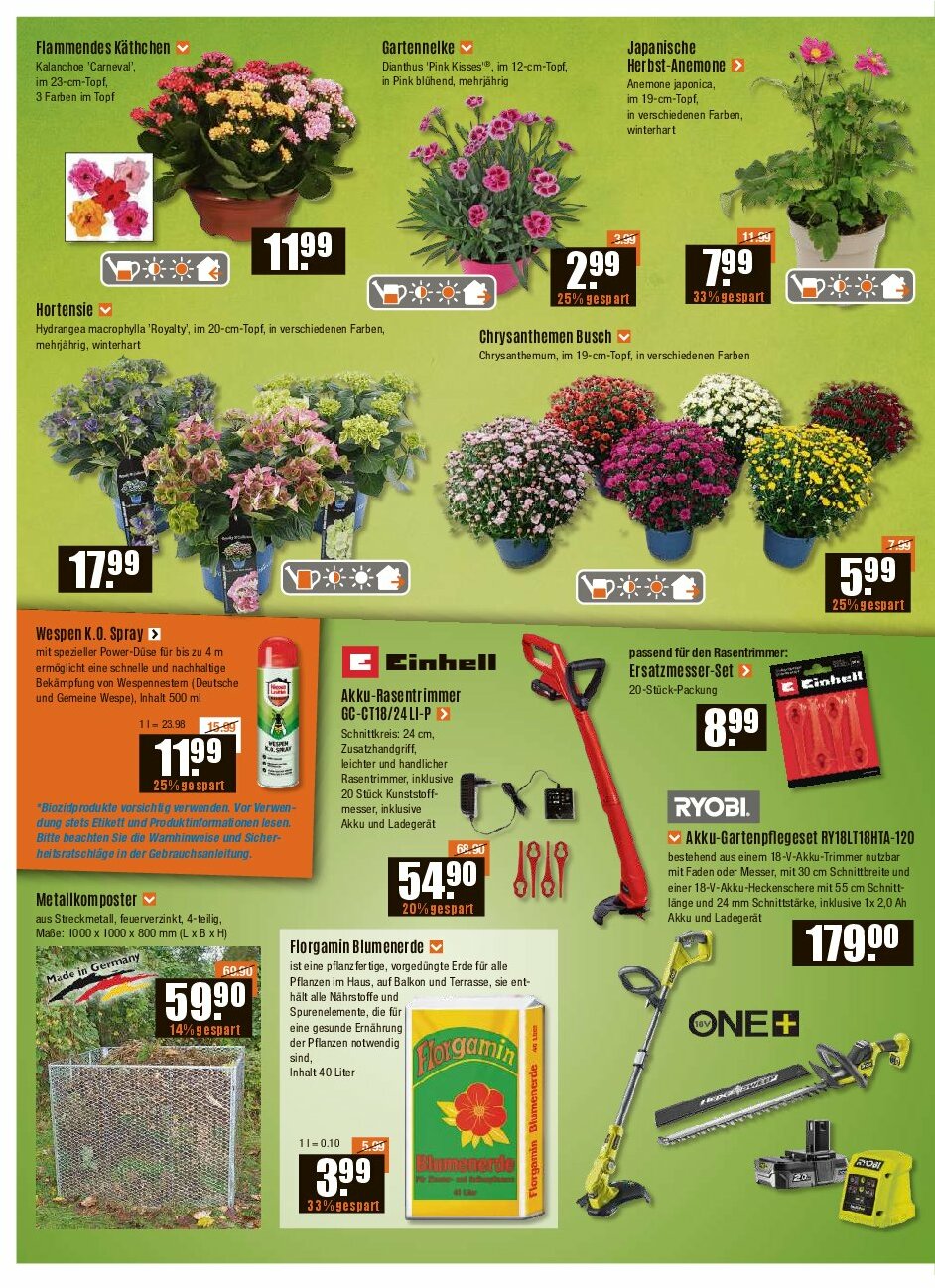 vmarkt - V-Baumarkt - Allgäu-Prospekt gültig vom 14.08. bis 20.08. - page: 2