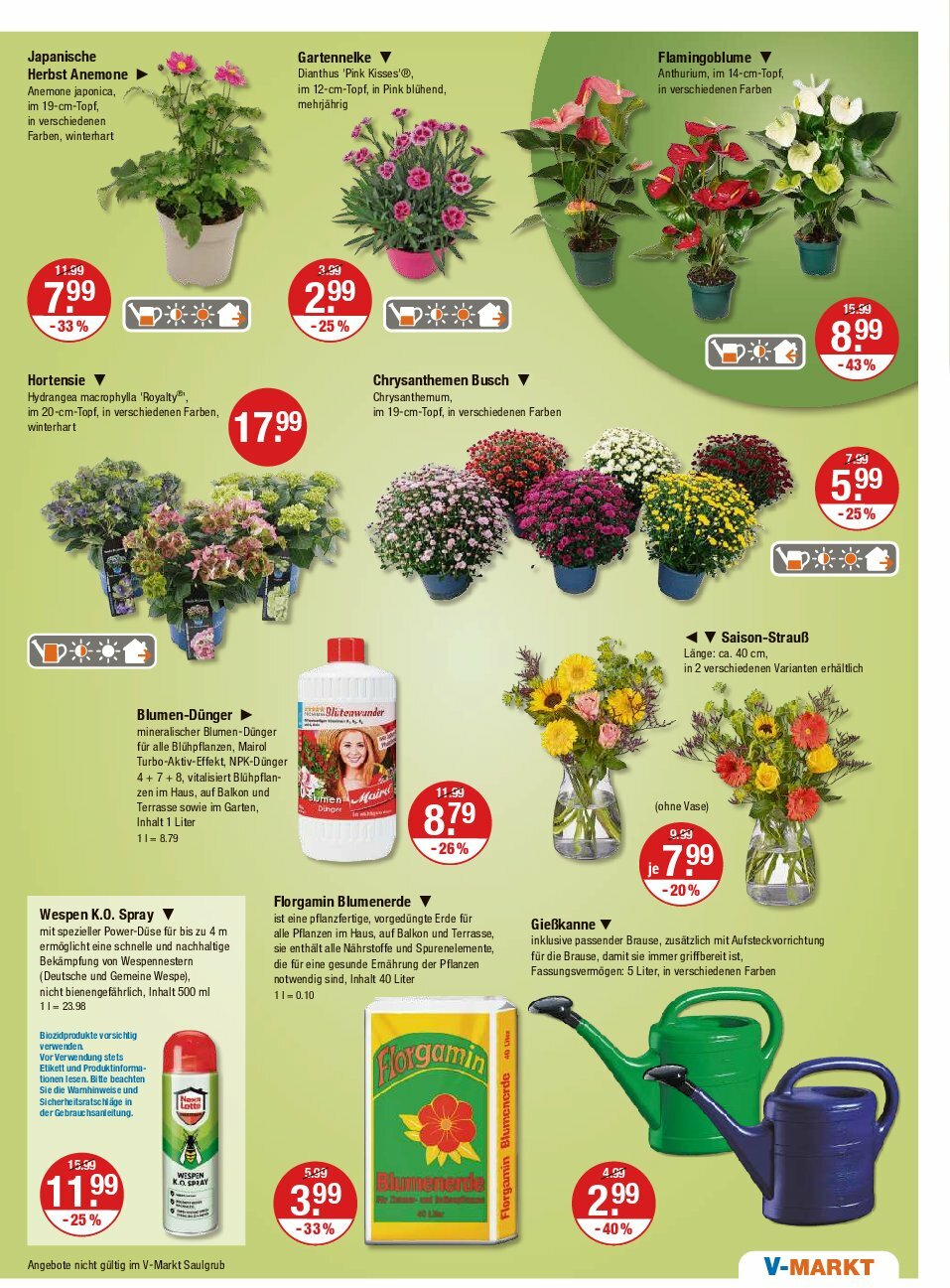 vmarkt - V-Markt - Hallertau-Prospekt gültig vom 14.08. bis 20.08. - page: 21