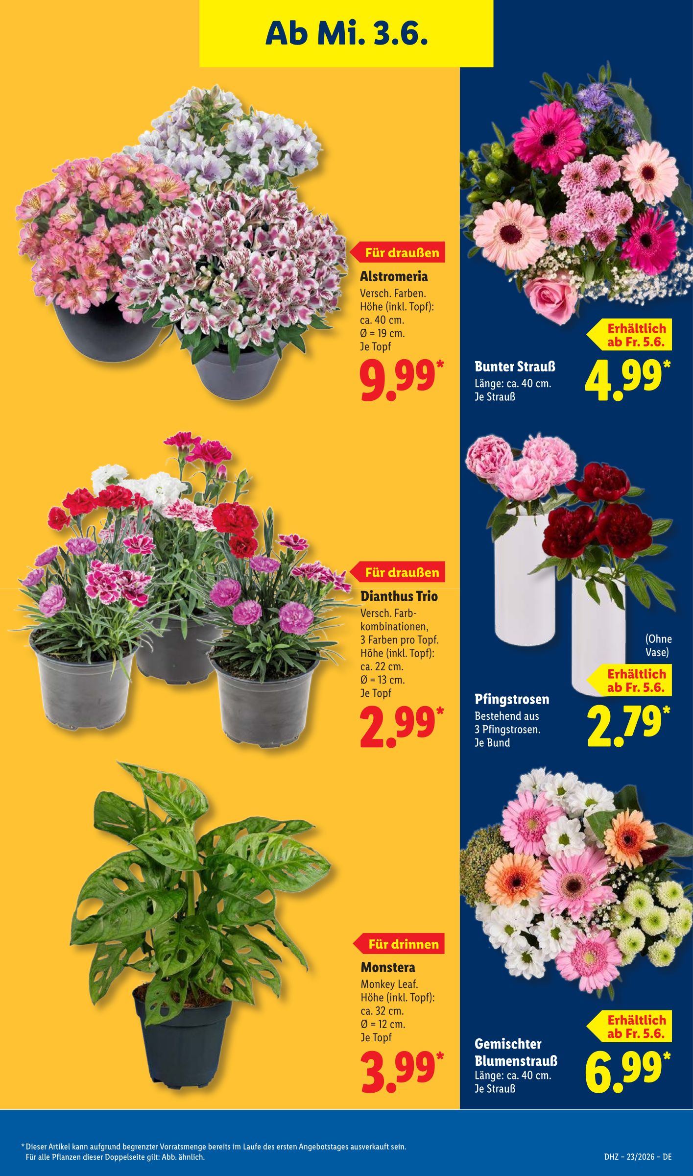 lidl - Lidl Prospekt nächste Woche – von Montag 01.06.2026 bis Samstag 06.06.2026 - page: 69