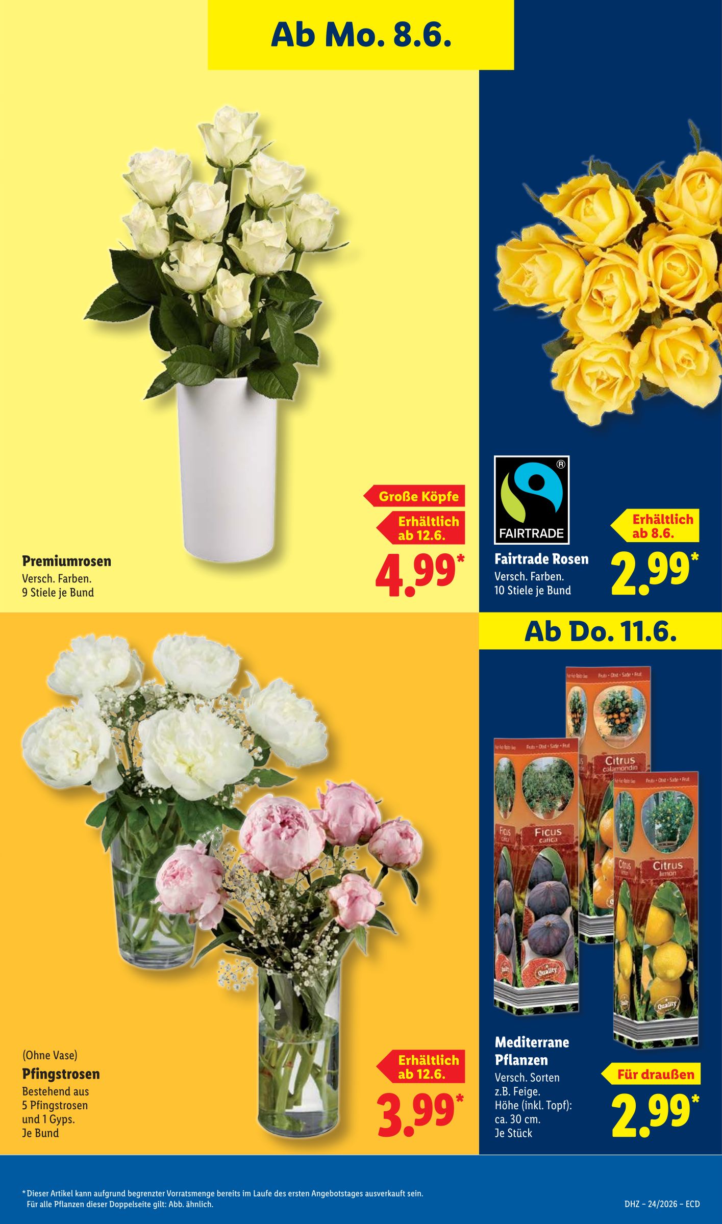 lidl - Lidl Prospekt nächste Woche – von Montag 08.06.2026 bis Samstag 13.06.2026 - page: 69