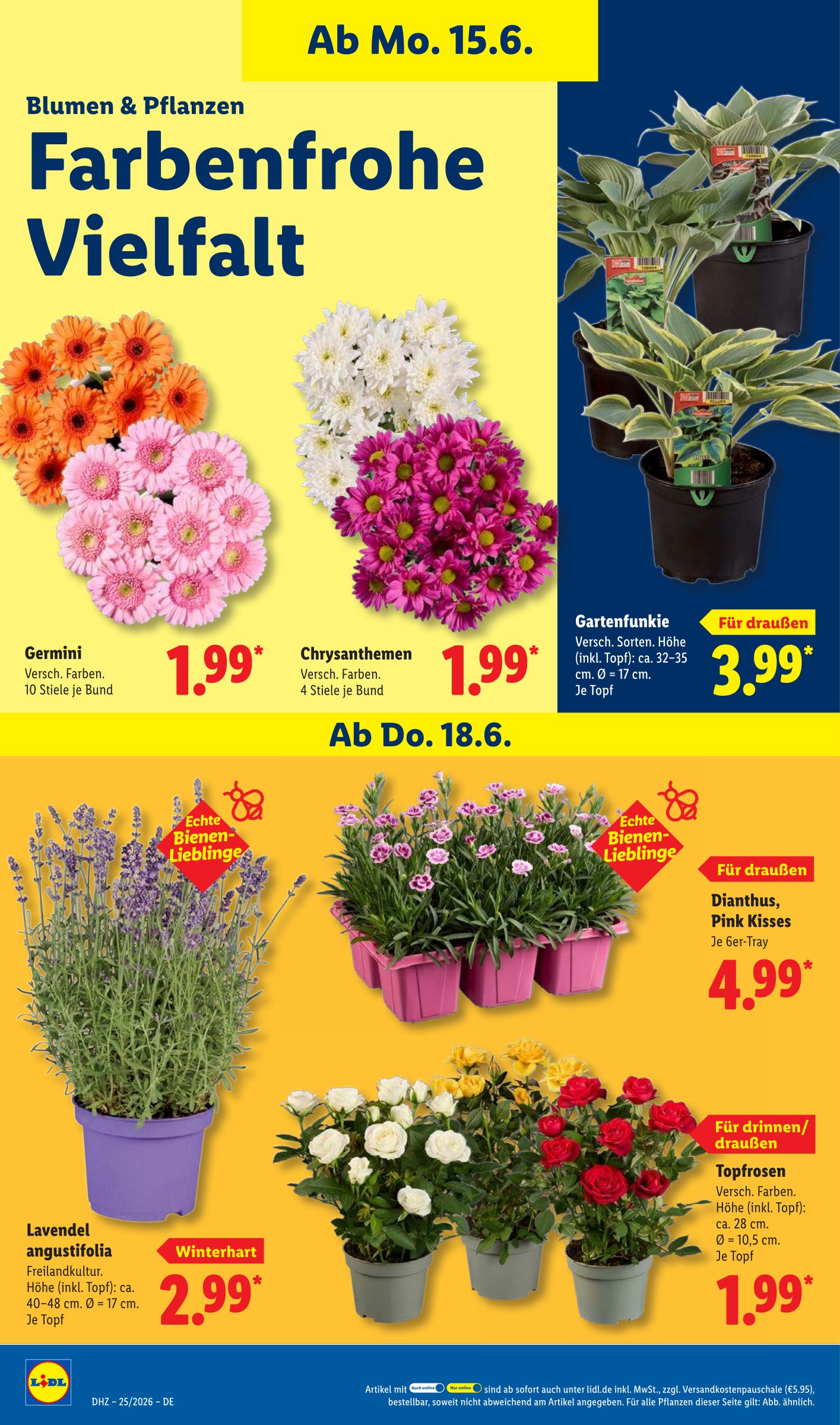 lidl - Lidl Prospekt nächste Woche – von Montag 15.06.2026 bis Samstag 20.06.2026 - page: 70