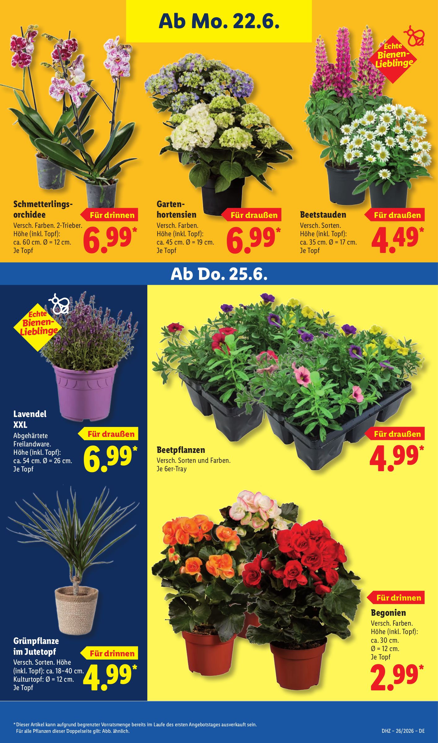 lidl - Lidl XXL Prospekt nächste Woche – von Montag 22.06.2026 bis Samstag 27.06.2026 - page: 69