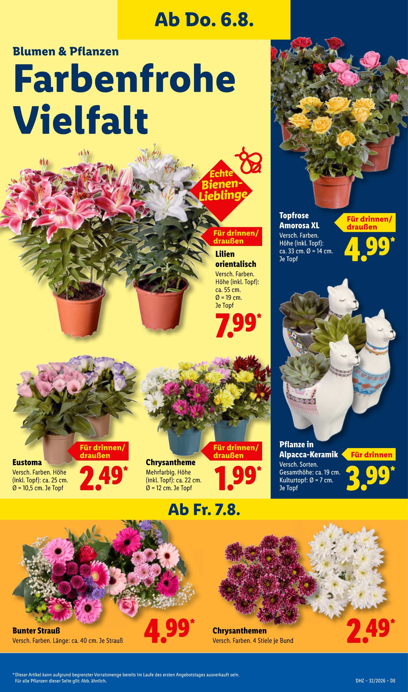 lidl - Lidl Prospekt – von Montag 03.08.2026 bis Samstag 08.08.2026 - page: 7