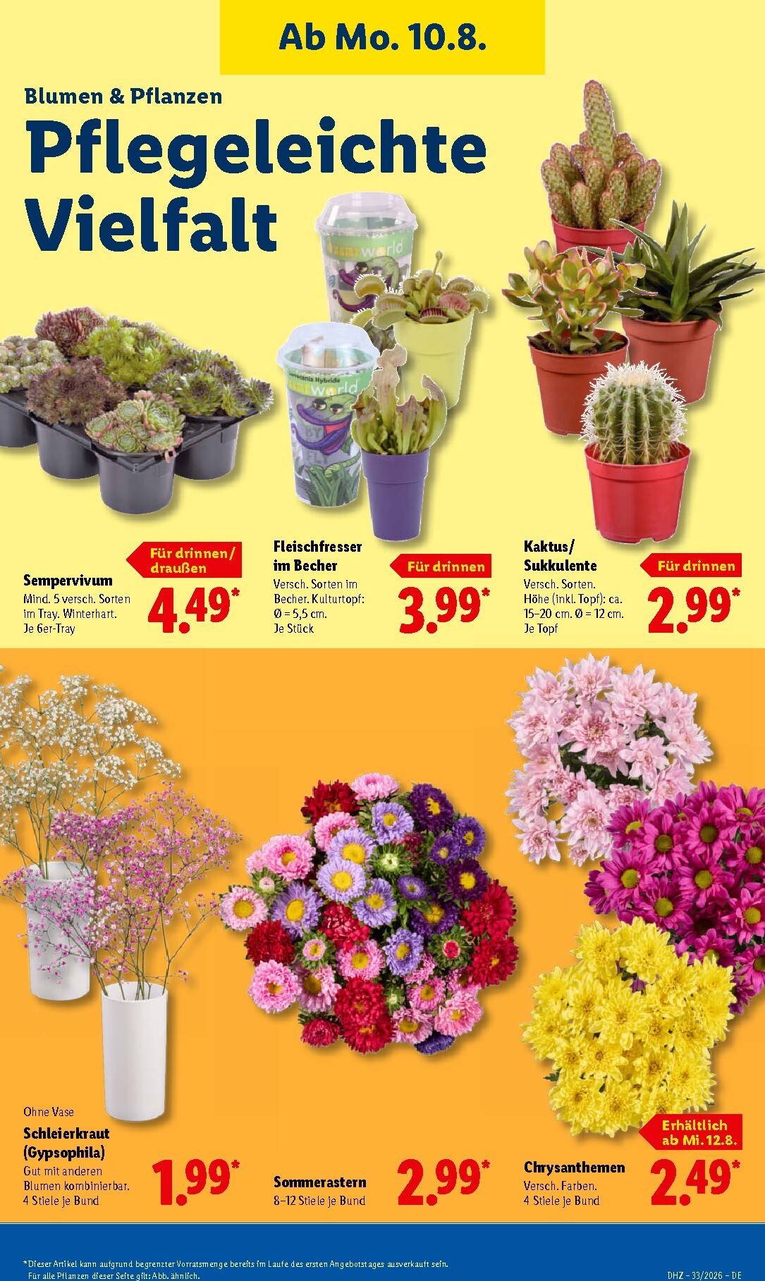 lidl - Lidl Prospekt nächste Woche – von Montag 10.08.2026 bis Samstag 15.08.2026 - page: 23