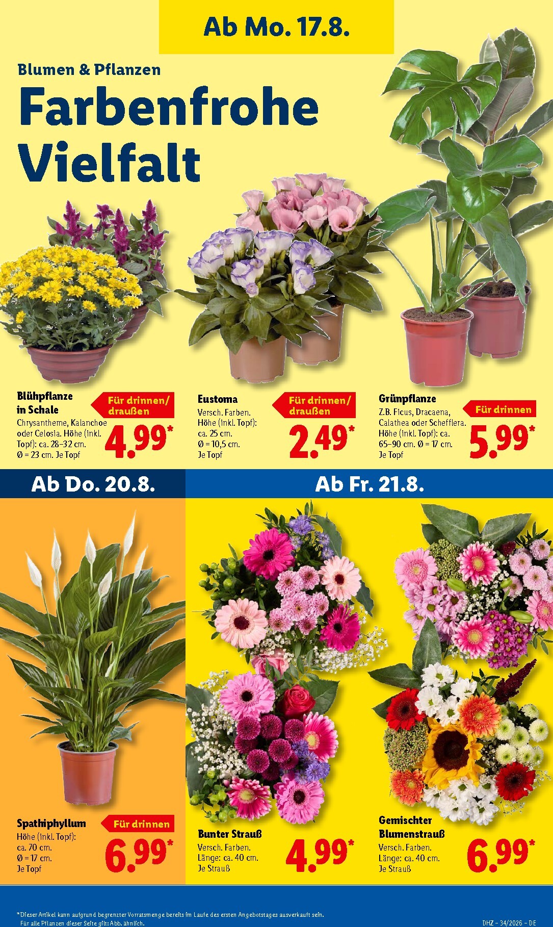 lidl - Lidl Prospekt nächste Woche – von Montag 17.08.2026 bis Samstag 22.08.2026 - page: 25