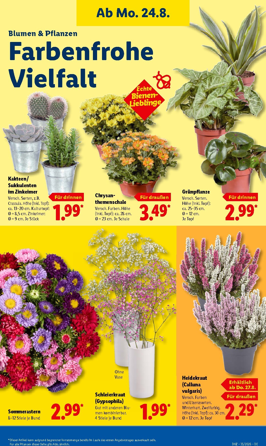 lidl - Lidl Prospekt nächste Woche – von Montag 24.08.2026 bis Samstag 29.08.2026 - page: 15