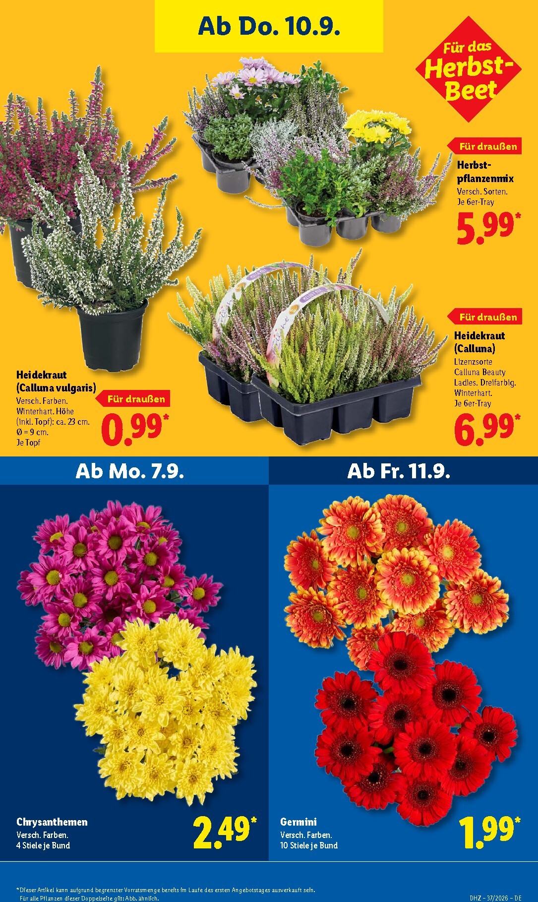 lidl - Lidl Prospekt nächste Woche – von Montag 07.09.2026 bis Samstag 12.09.2026 - page: 27