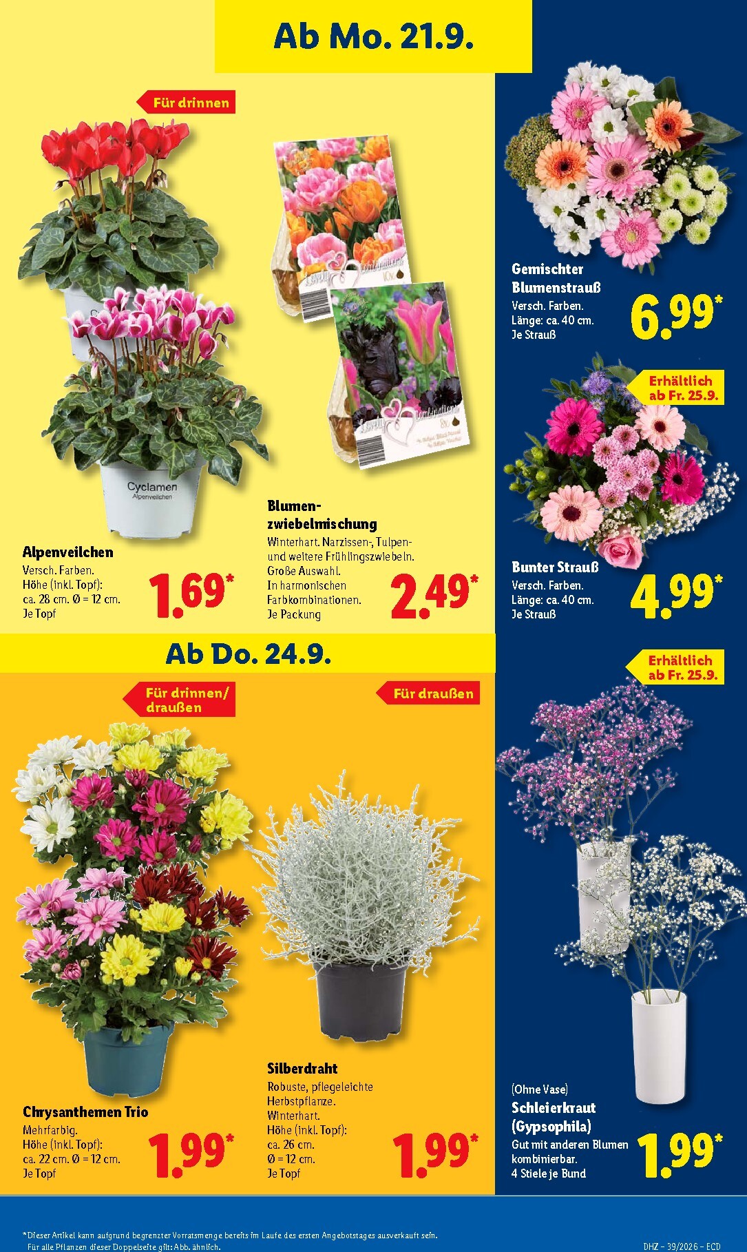 lidl - Lidl Prospekt nächste Woche – von Montag 21.09.2026 bis Samstag 26.09.2026 - page: 21
