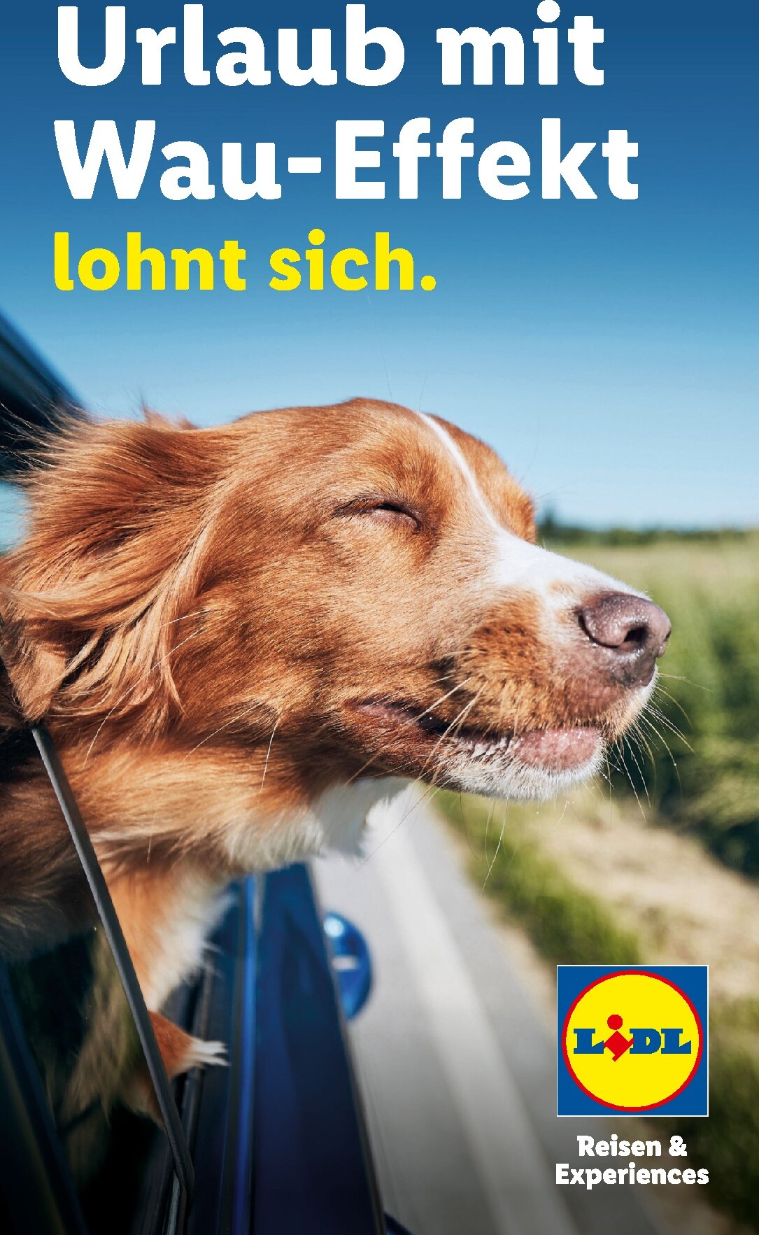 lidl - Lidl - Urlaub mit Hund Prospekt – von Mittwoch 29.07.2026 bis Donnerstag 31.12.2026