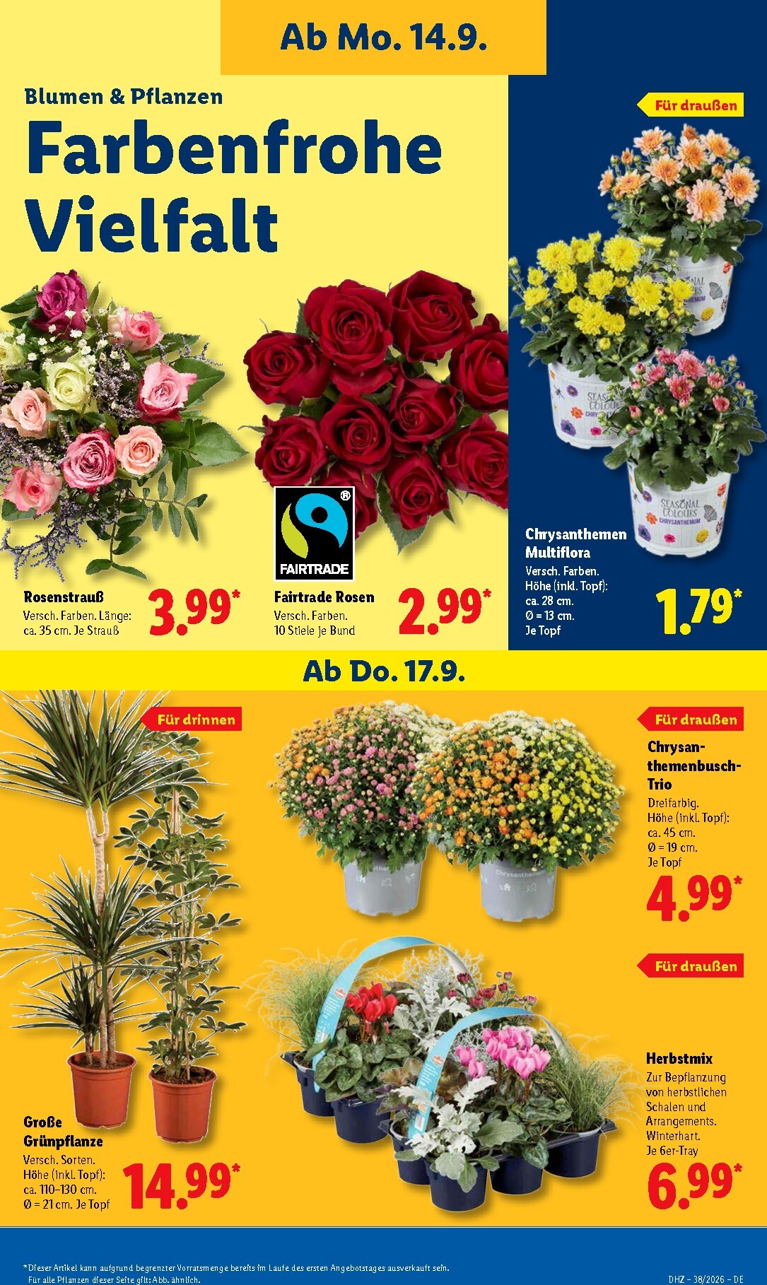 lidl - Lidl Prospekt – von Montag 14.09.2026 bis Samstag 19.09.2026 - page: 23