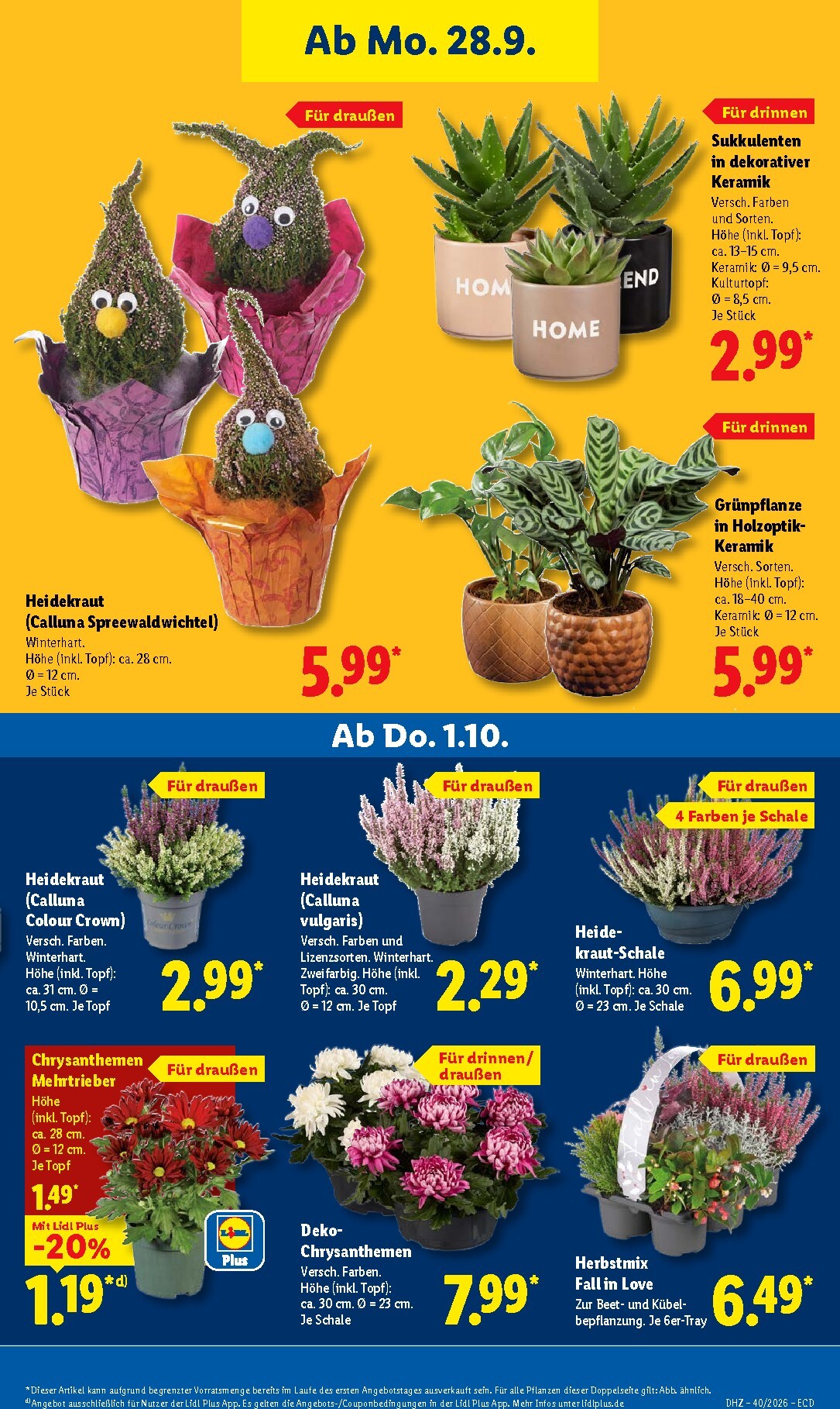 lidl - Lidl Prospekt nächste Woche – von Montag 28.09.2026 bis Freitag 02.10.2026 - page: 25