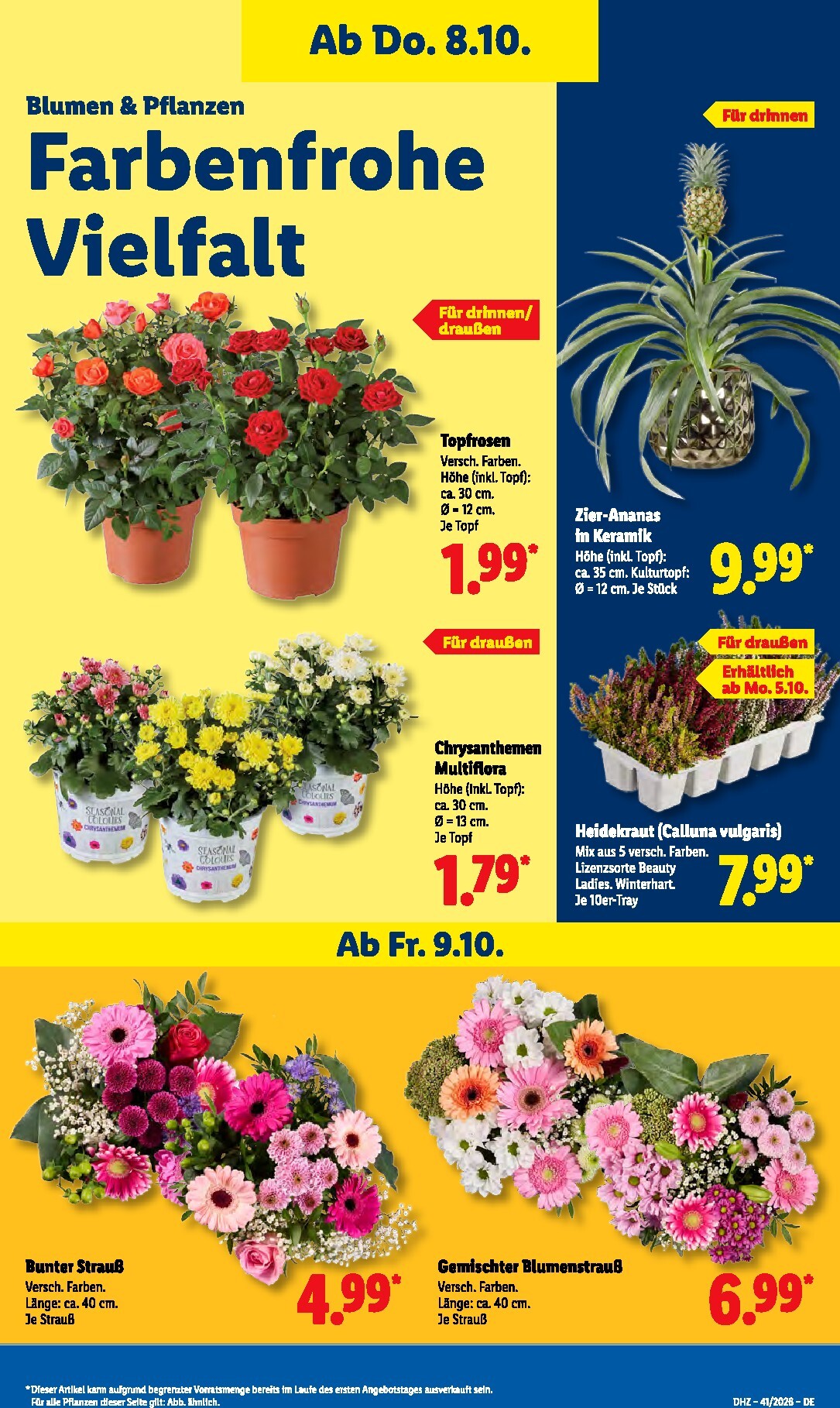 lidl - Lidl Prospekt nächste Woche – von Montag 05.10.2026 bis Samstag 10.10.2026 - page: 17