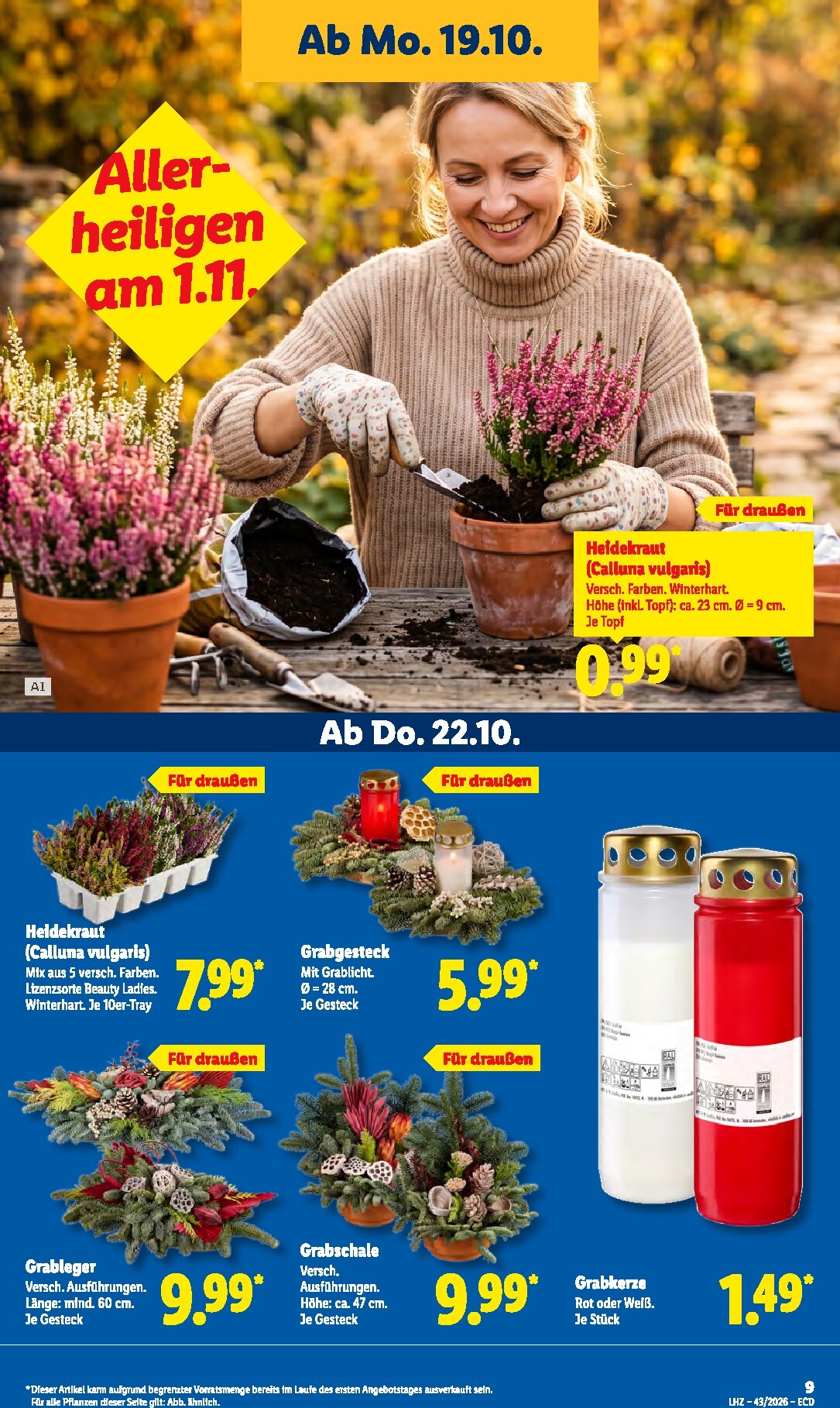 lidl - Lidl Prospekt nächste Woche – von Montag 19.10.2026 bis Samstag 24.10.2026 - page: 17