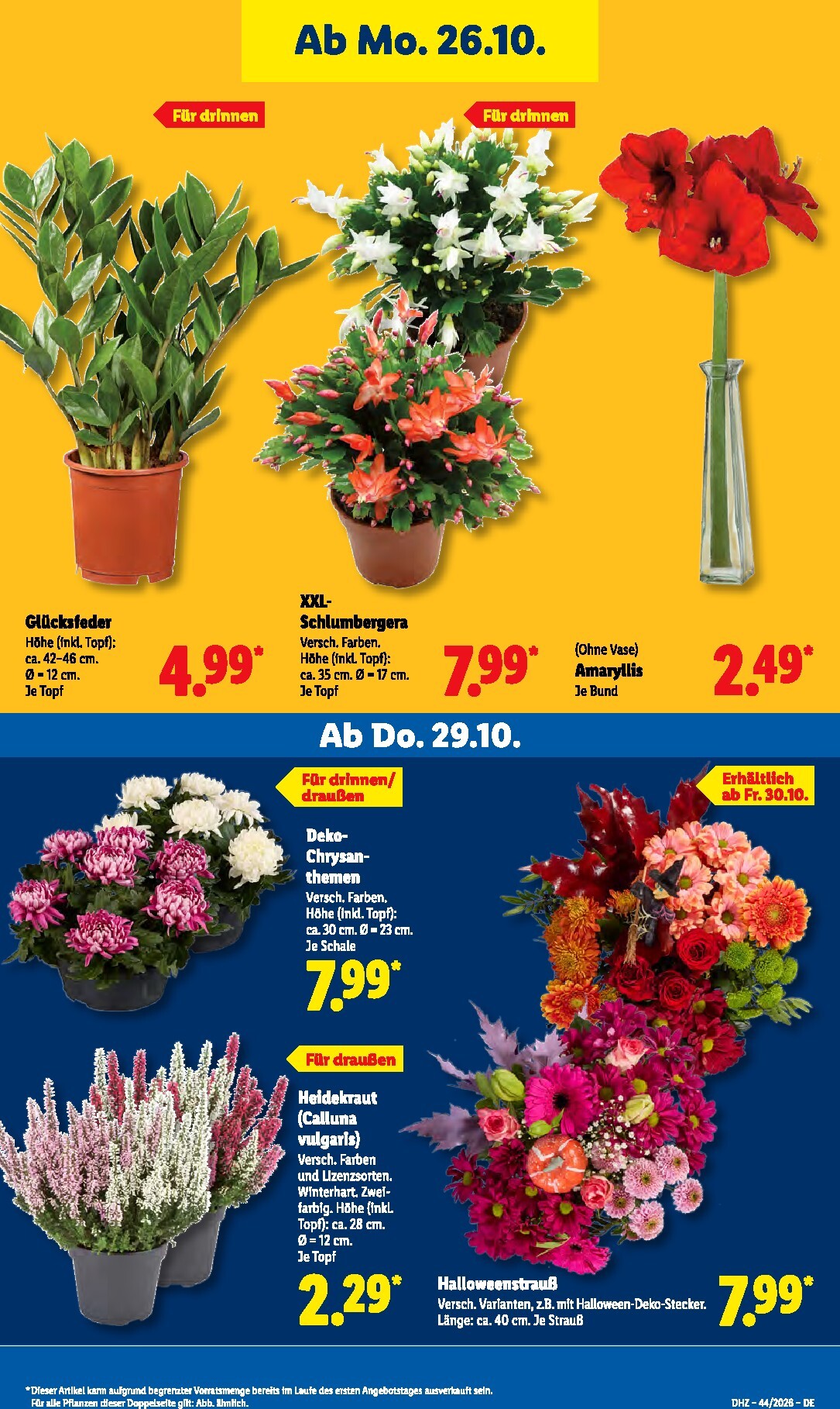 lidl - Lidl Prospekt nächste Woche – von Montag 26.10.2026 bis Samstag 31.10.2026 - page: 33