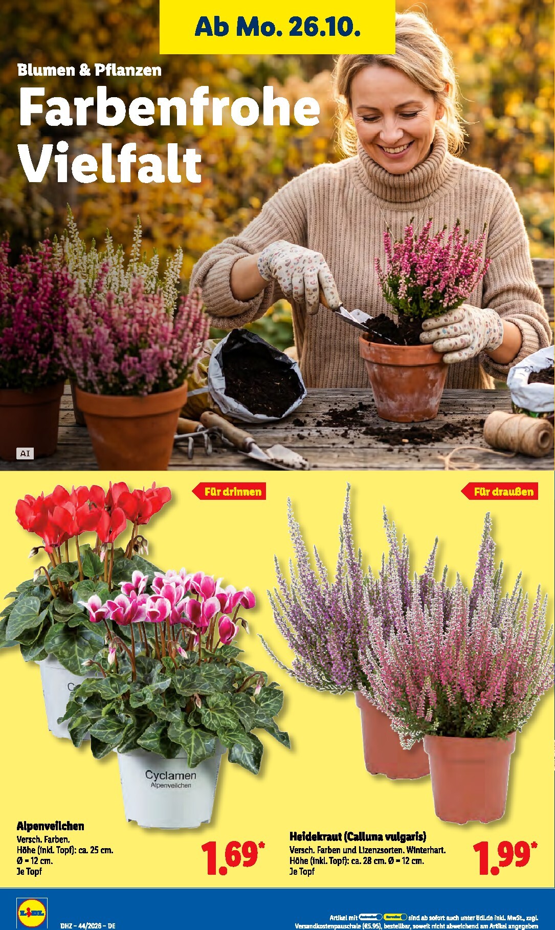lidl - Lidl Prospekt nächste Woche – von Montag 26.10.2026 bis Samstag 31.10.2026 - page: 32