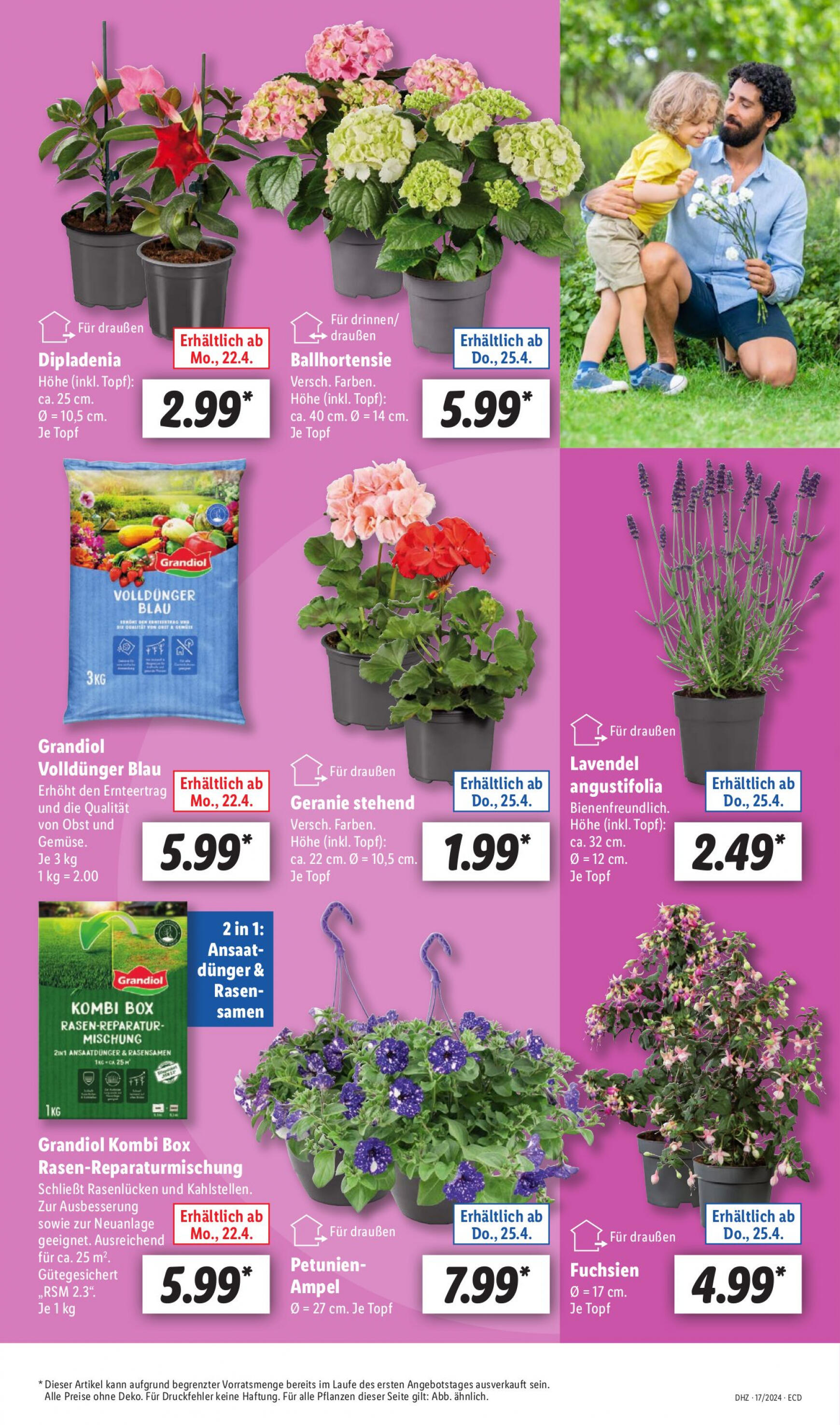 lidl - Flyer Lidl aktuell 22.04. - 27.04. - page: 5