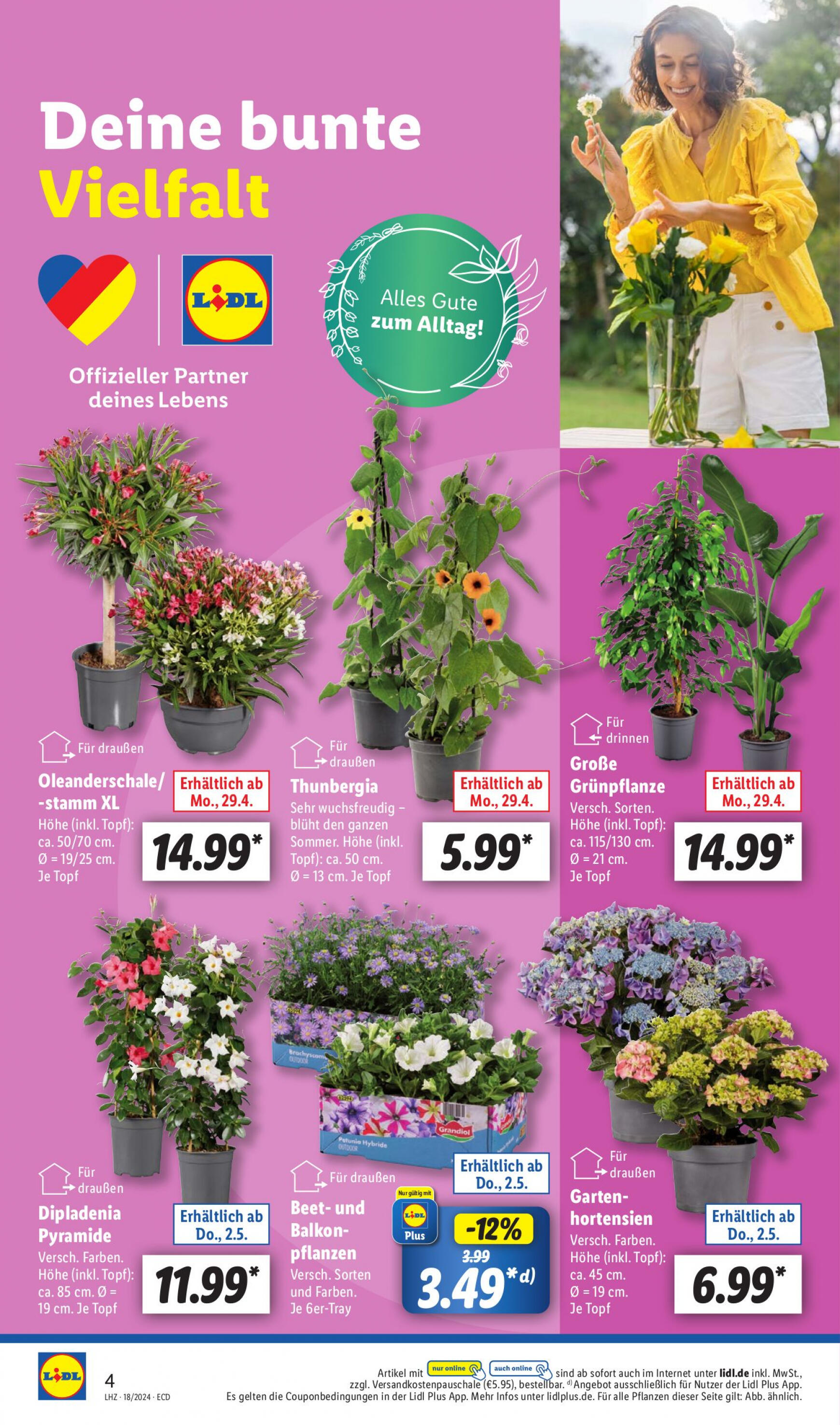 lidl - Flyer Lidl aktuell 29.04. - 04.05. - page: 4