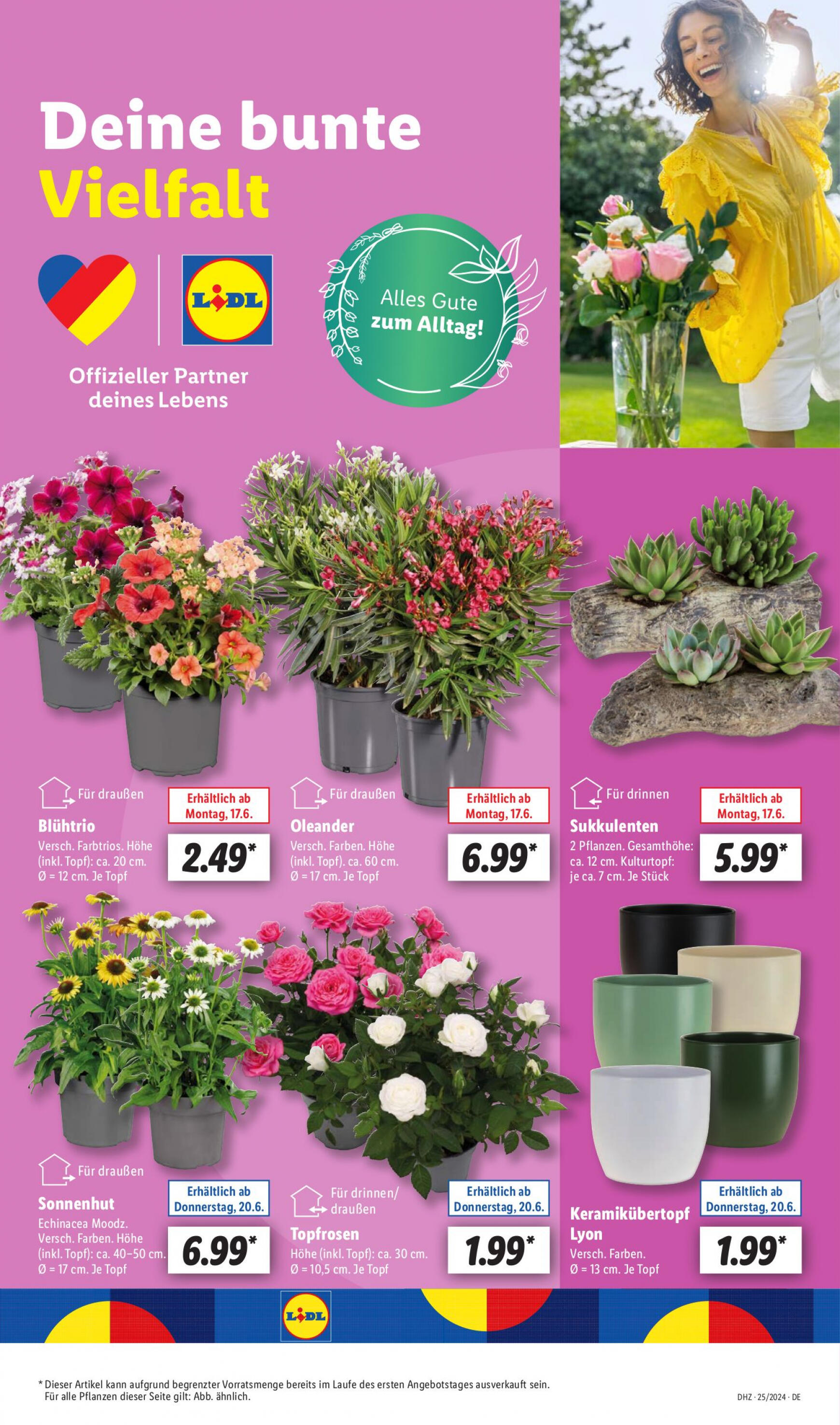 lidl - Flyer Lidl aktuell 17.06. - 22.06. - page: 5