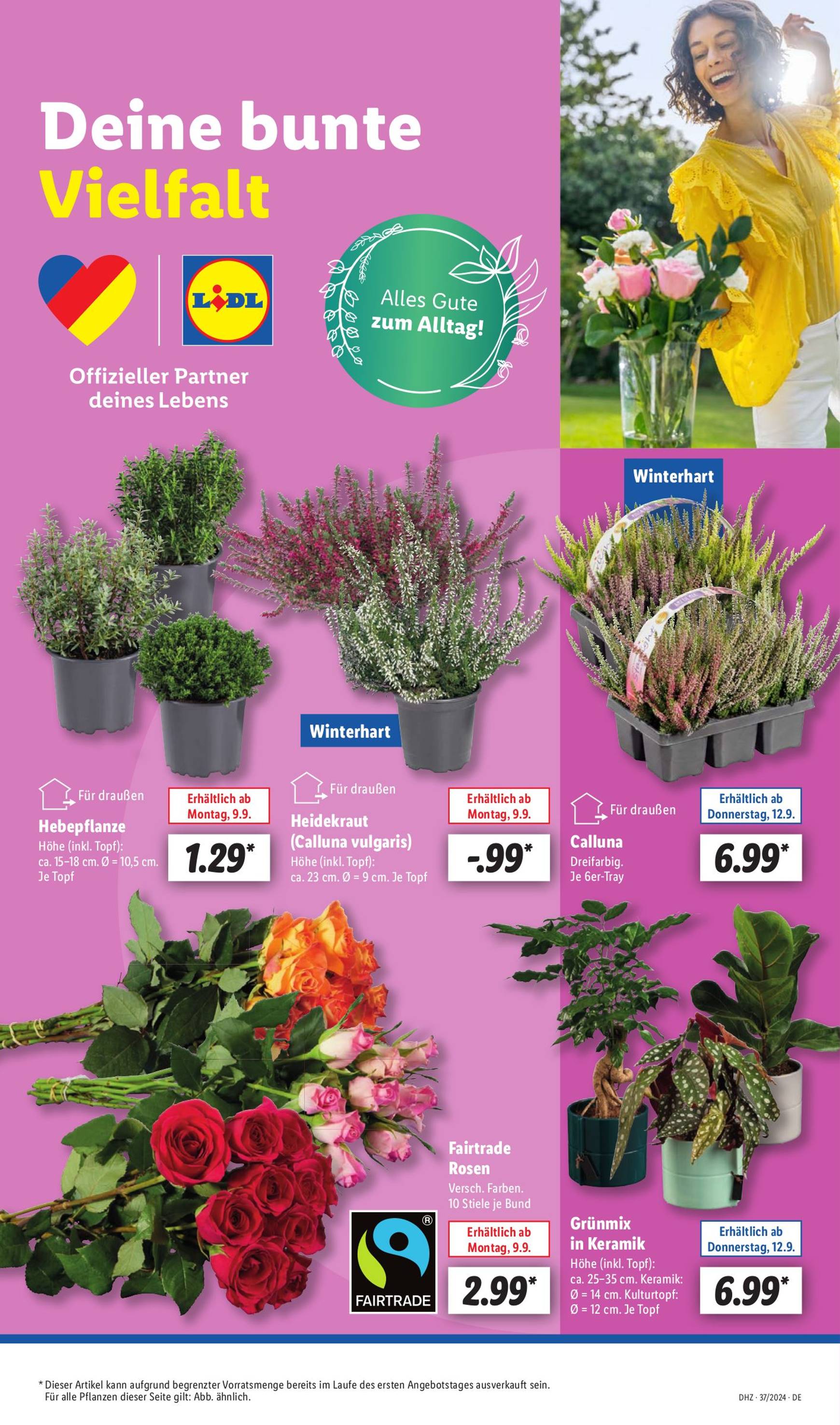 lidl - Lidl-Prospekt gültig ab 09.09. - 14.09. - page: 53