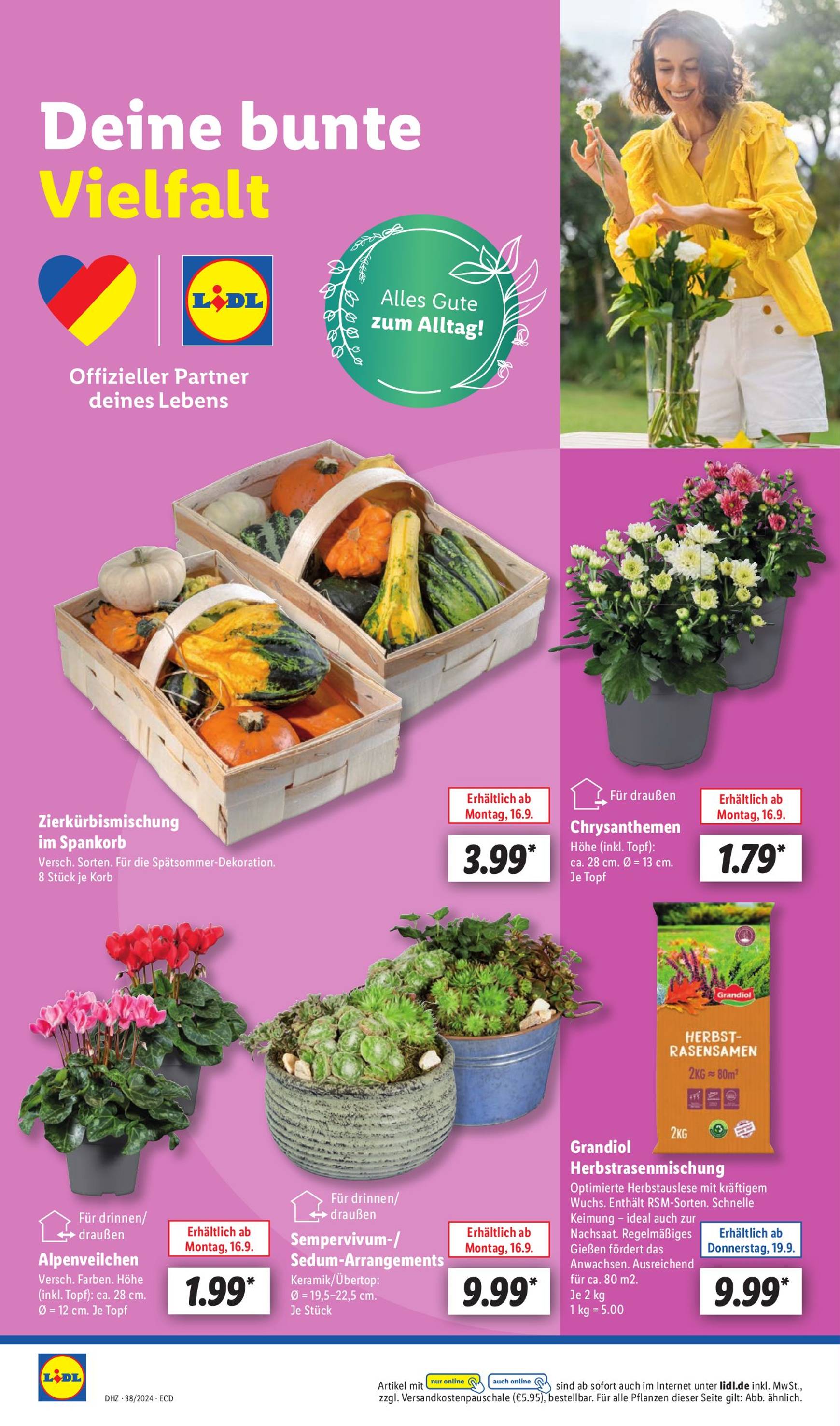 lidl - Lidl-Prospekt gültig ab 16.09. - 21.09. - page: 16