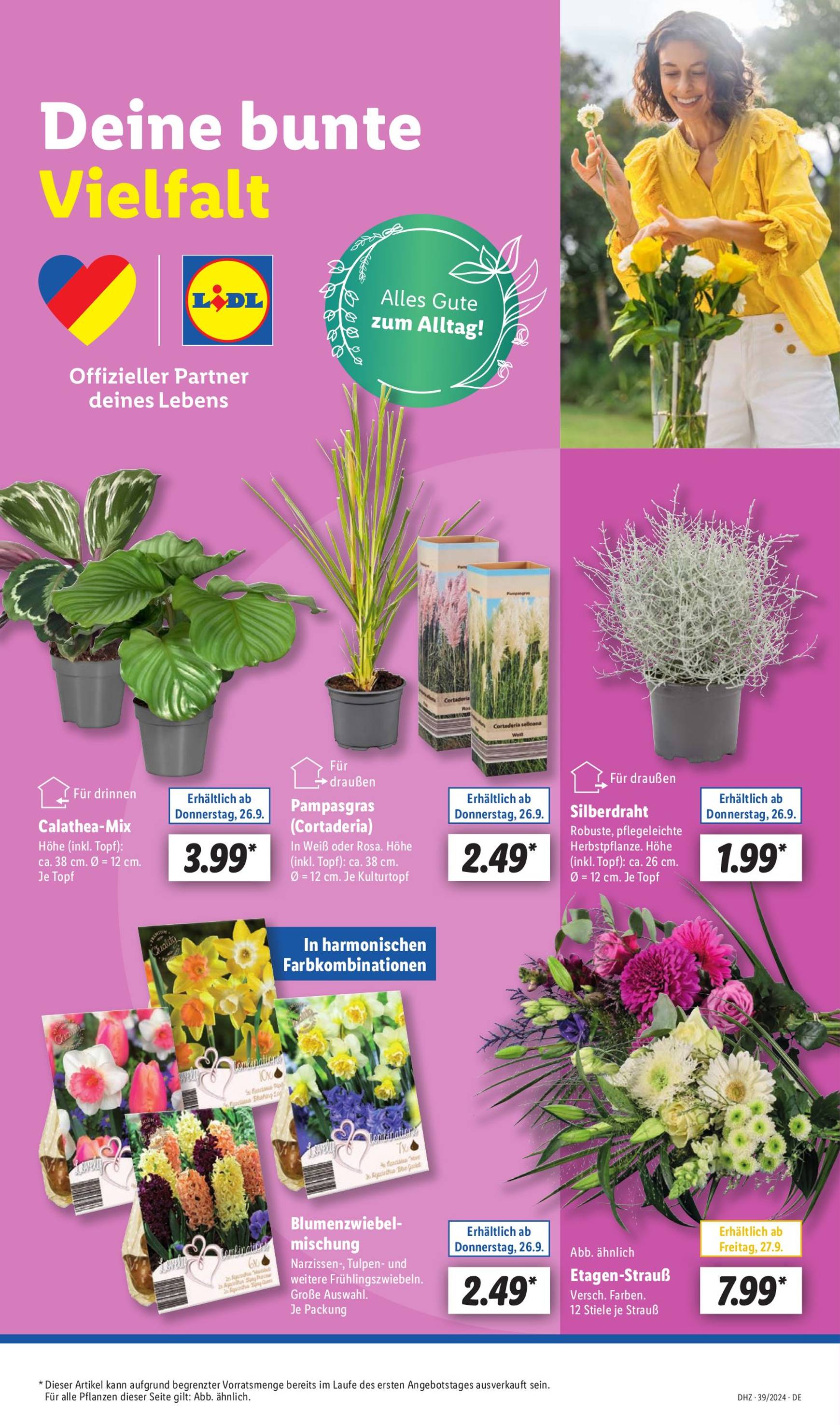 lidl - Lidl-Prospekt gültig ab 23.09. - 28.09. - page: 7