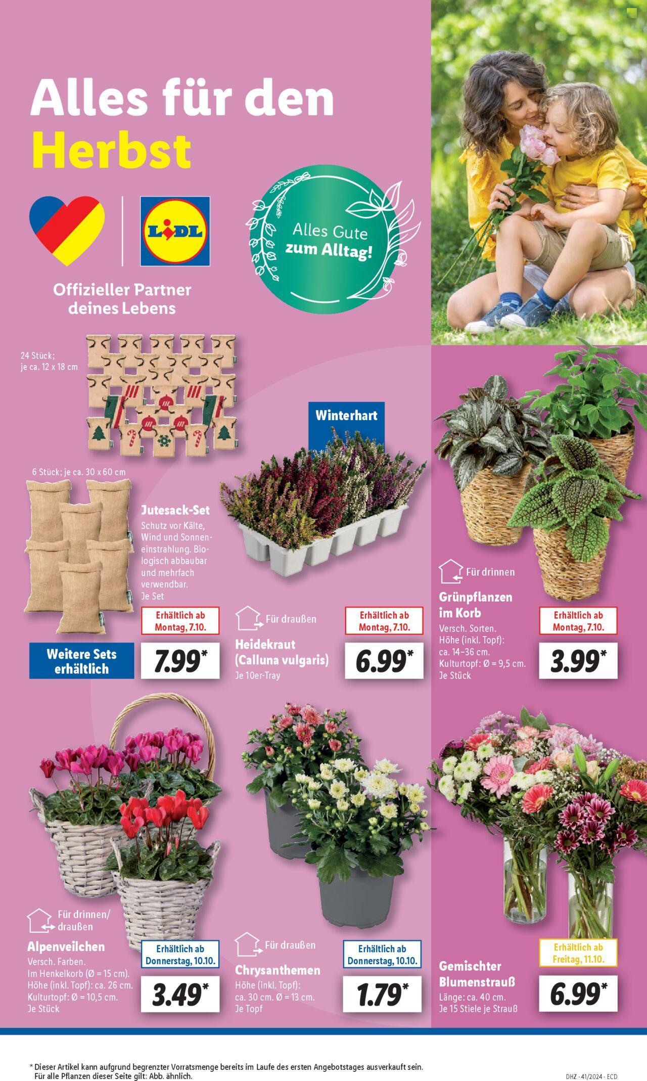 lidl - Lidl Prospekt 07.10.2024 - 12.10.2024 - page: 21