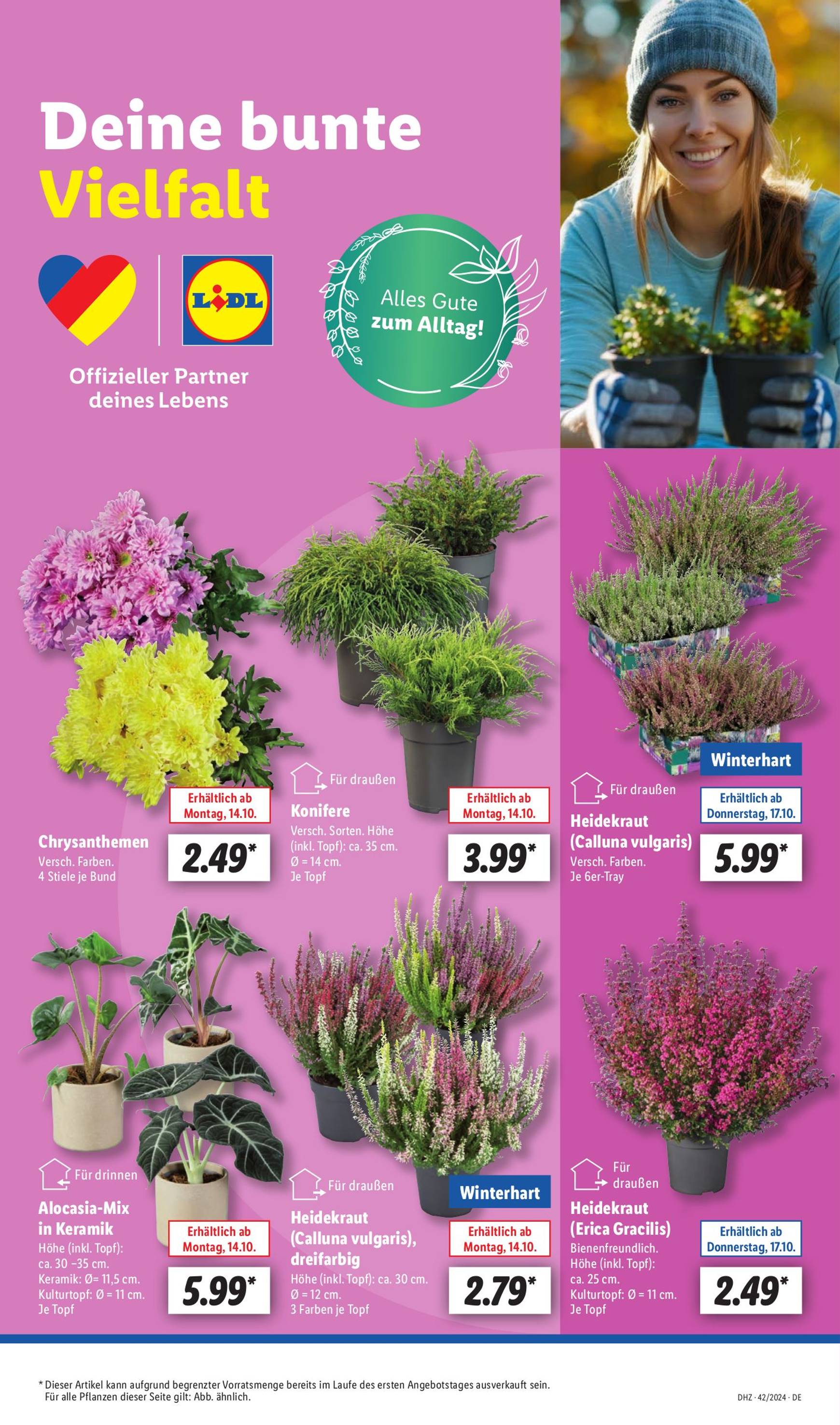 lidl - Lidl-Prospekt gültig von 14.10. bis 19.10. - page: 7