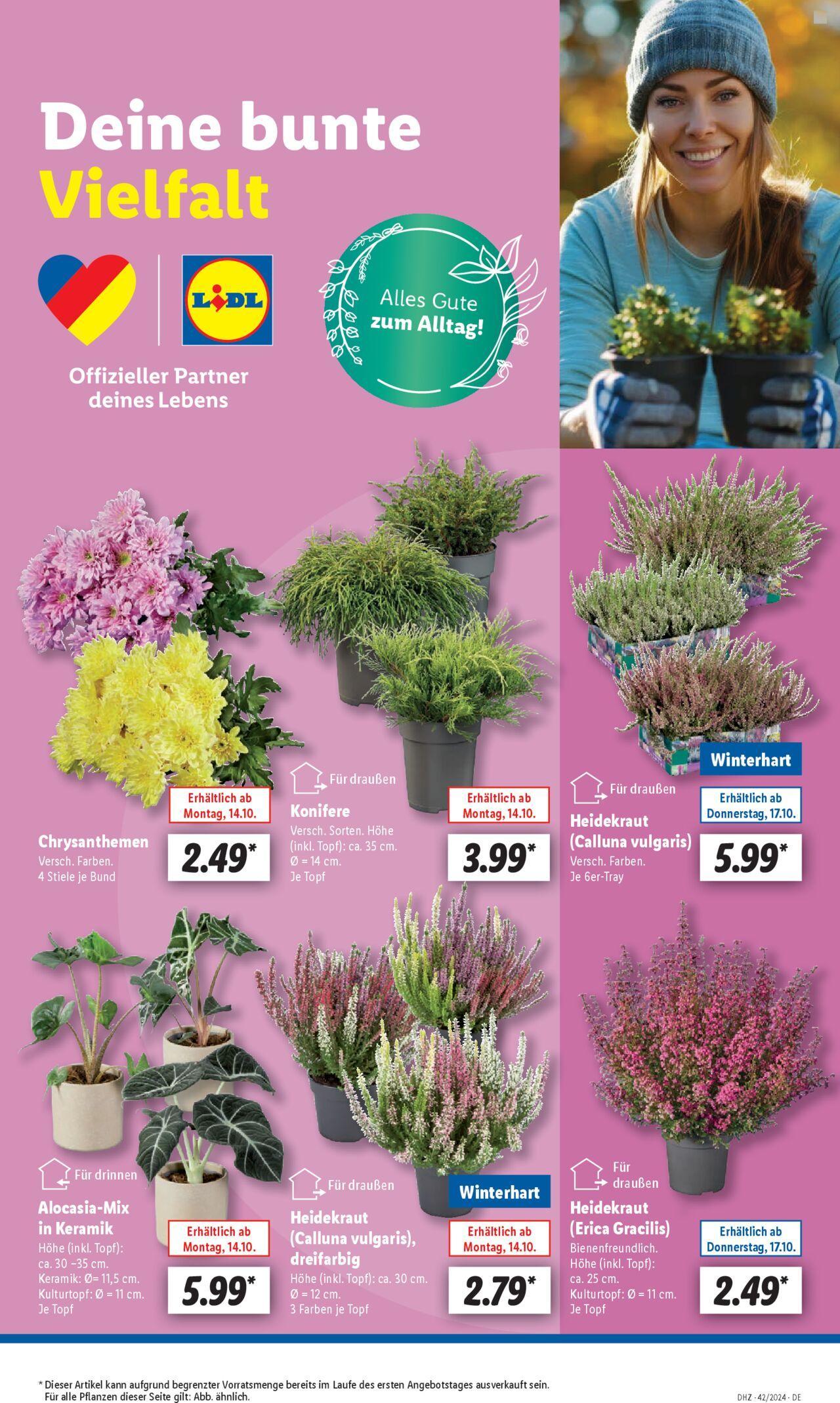 lidl - Lidl Prospekt 14.10.2024 - 19.10.2024 - page: 7