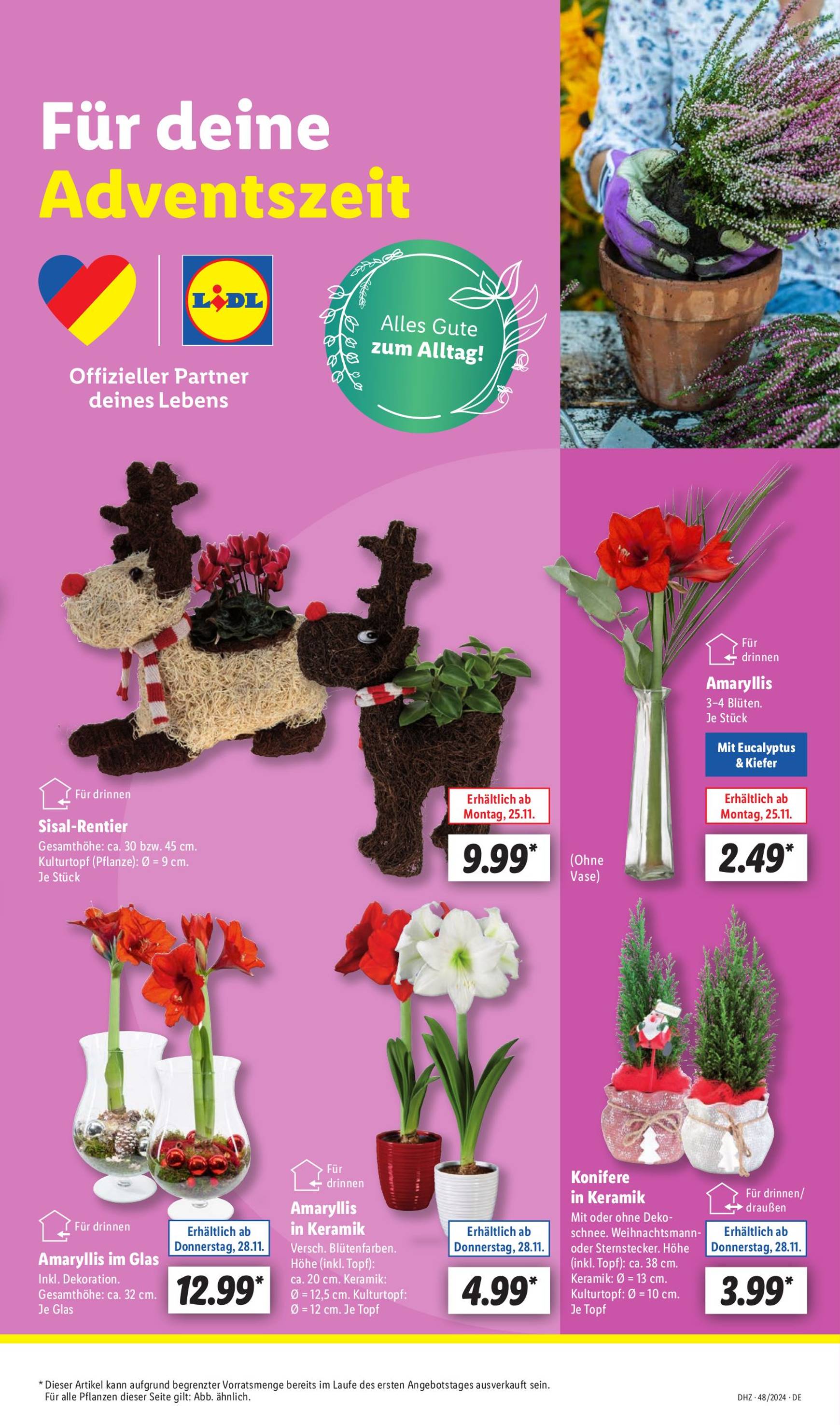 lidl - Lidl-Prospekt gültig von 25.11. bis 30.11. - page: 5