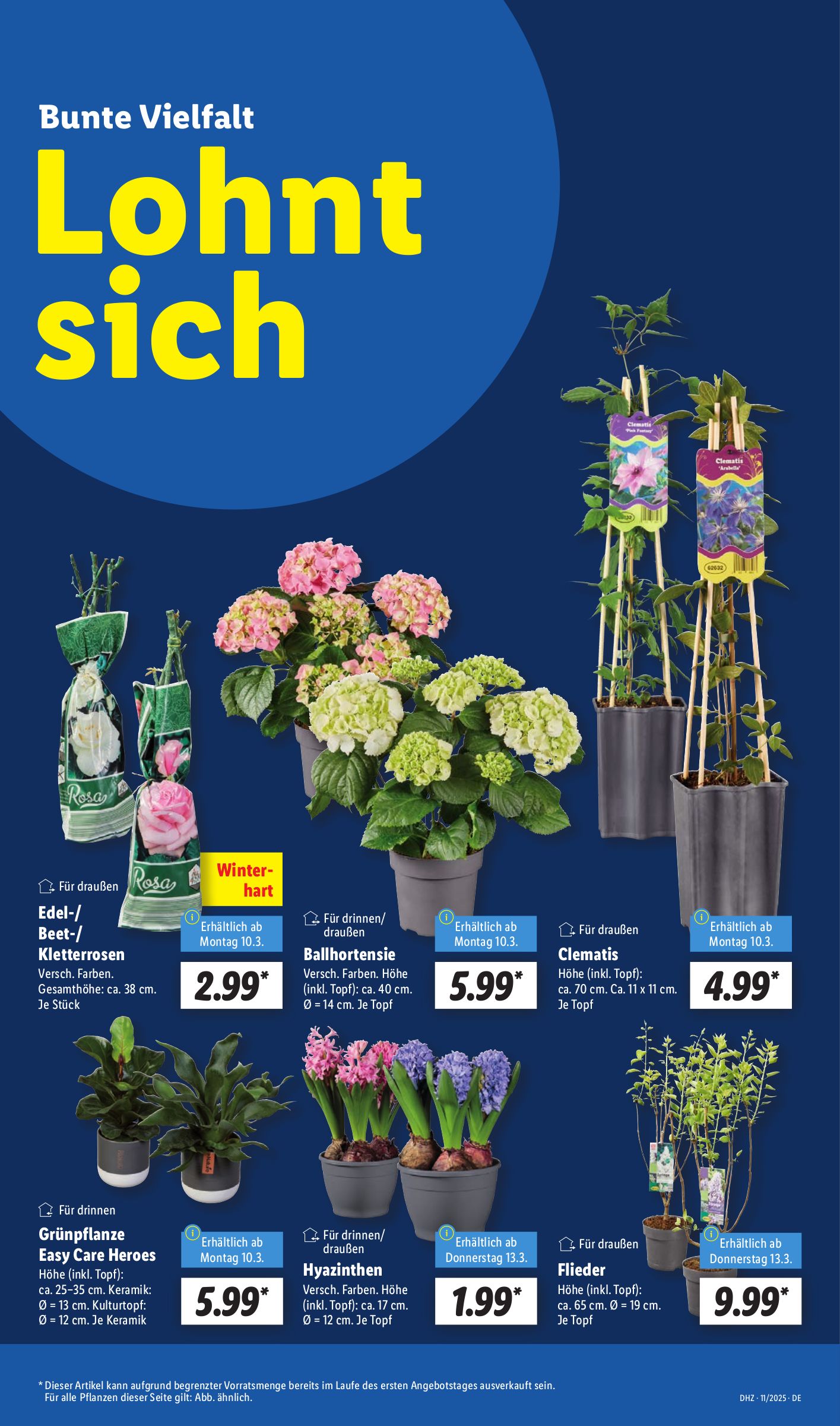 lidl - Lidl-Prospekt gültig von 10.03. bis 15.03. - page: 11