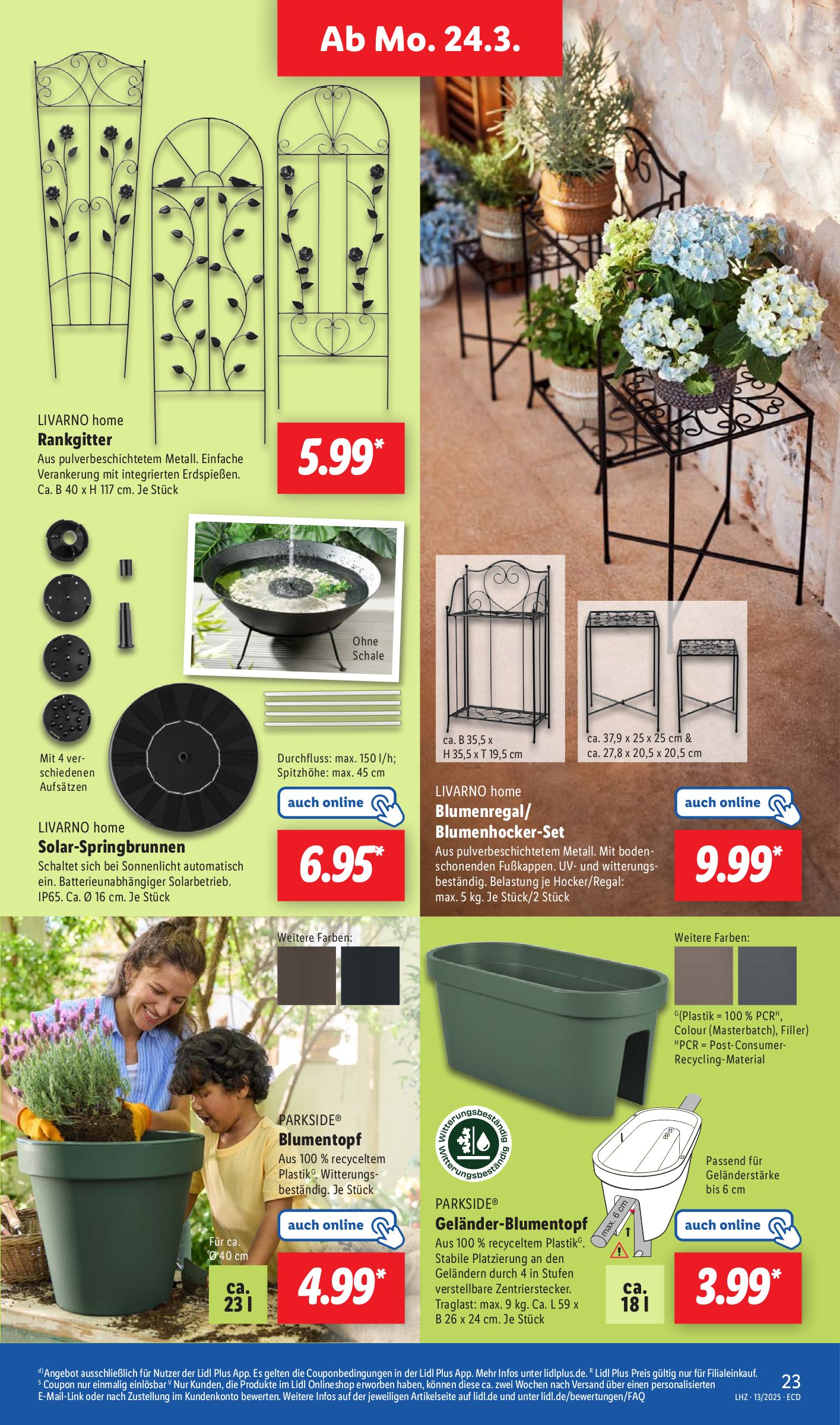 lidl - Lidl-Prospekt gültig von 24.03. bis 29.03. - page: 31 lidl - Lidl-Prospekt gültig von 24.03. bis 29.03. - page: 31