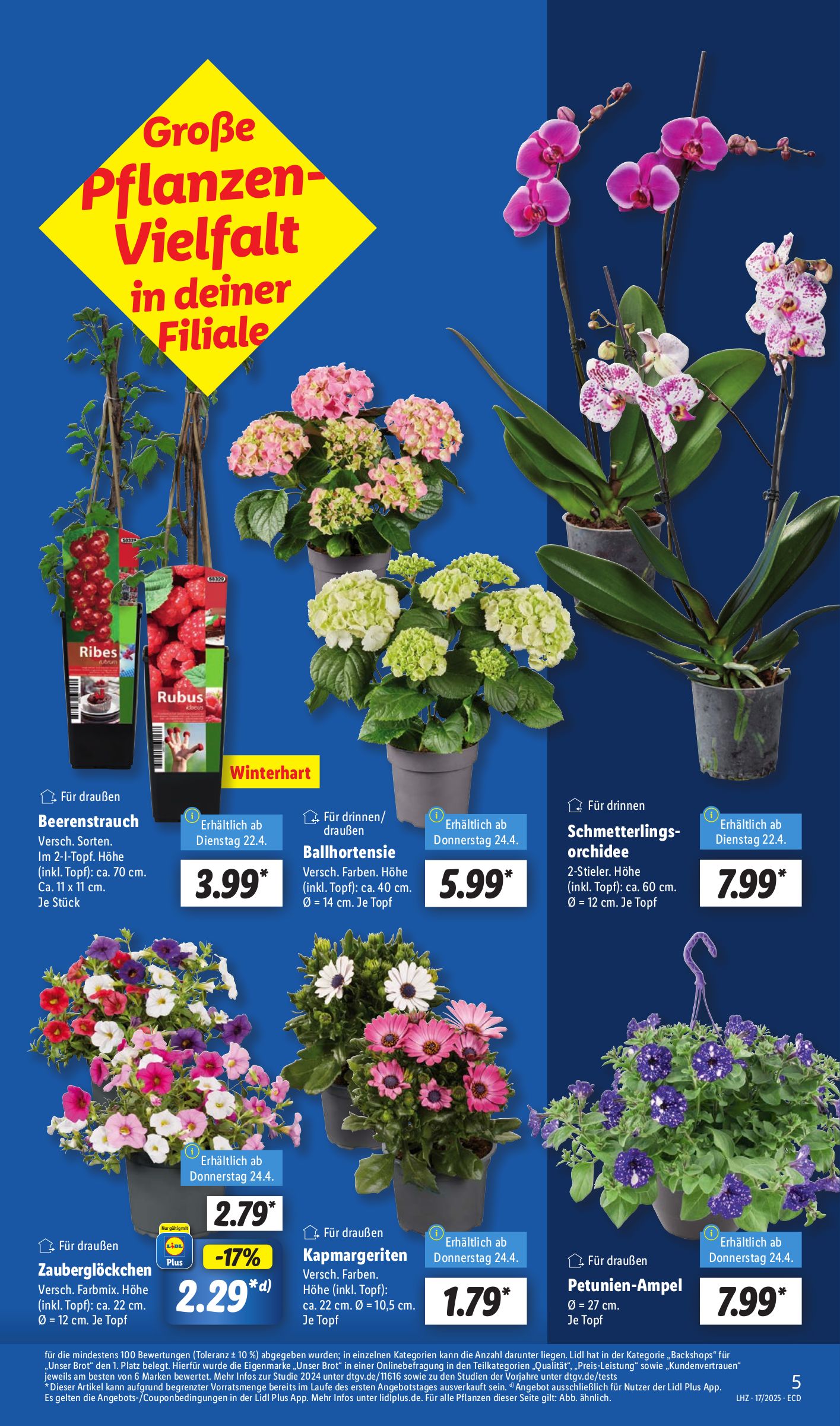 lidl - Lidl-Prospekt gültig von 22.04. bis 26.04. - page: 7 lidl - Lidl-Prospekt gültig von 22.04. bis 26.04. - page: 7
