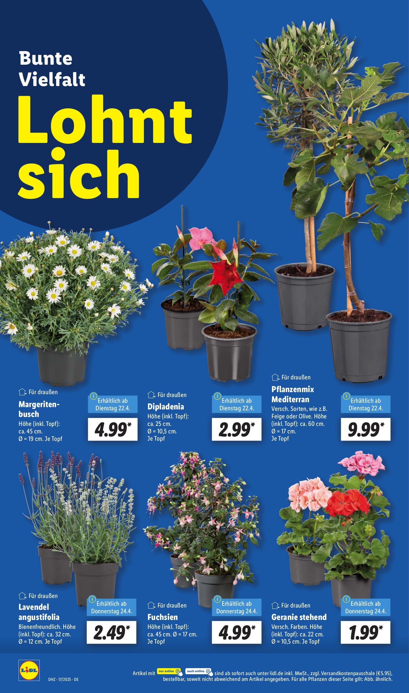 lidl - Lidl-Prospekt gültig von 22.04. bis 26.04. - page: 6 lidl - Lidl-Prospekt gültig von 22.04. bis 26.04. - page: 6