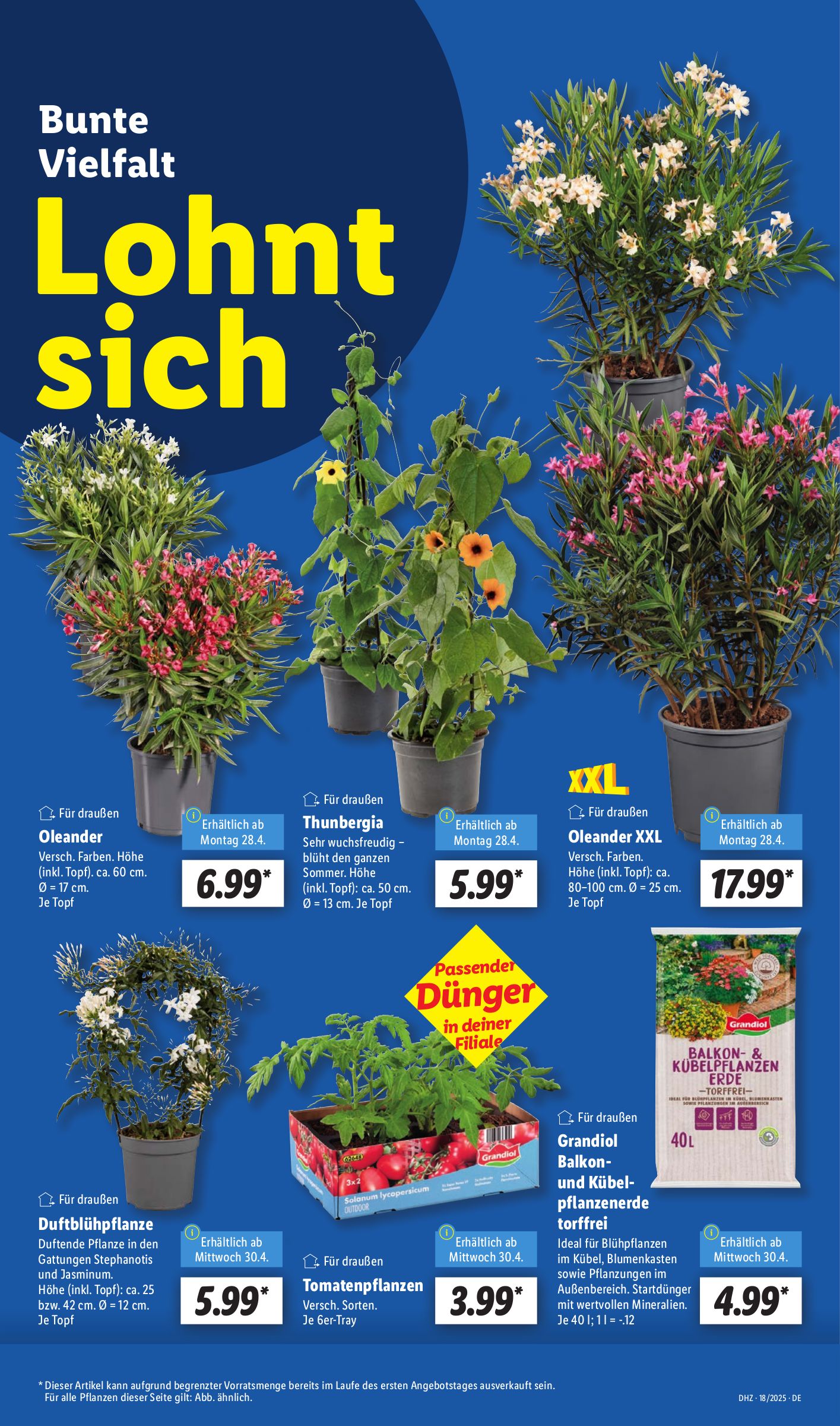 lidl - Lidl-Prospekt gültig von 28.04. bis 03.05. - page: 5 lidl - Lidl-Prospekt gültig von 28.04. bis 03.05. - page: 5