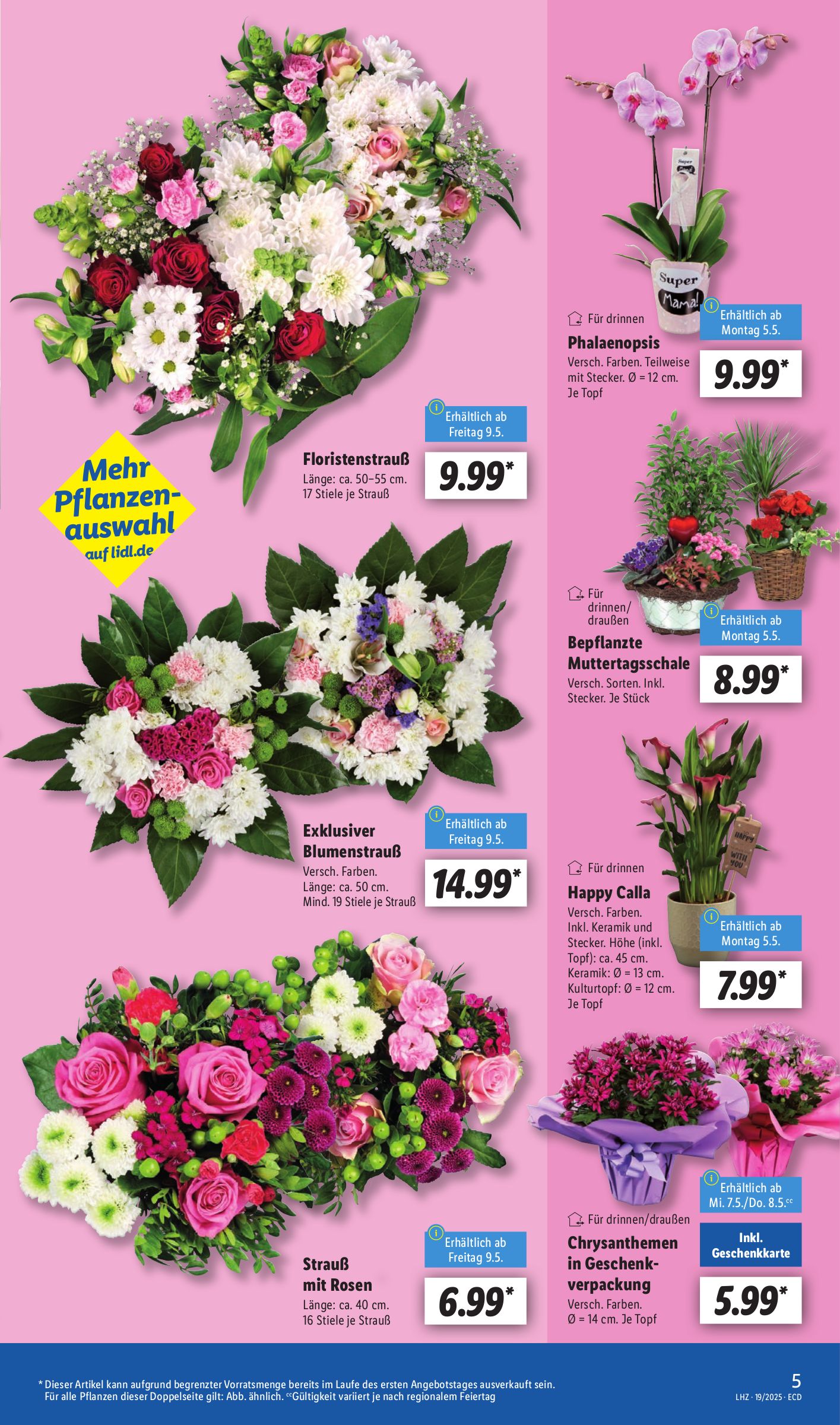 lidl - Lidl-Prospekt gültig von 05.05. bis 10.05. - page: 5 lidl - Lidl-Prospekt gültig von 05.05. bis 10.05. - page: 5