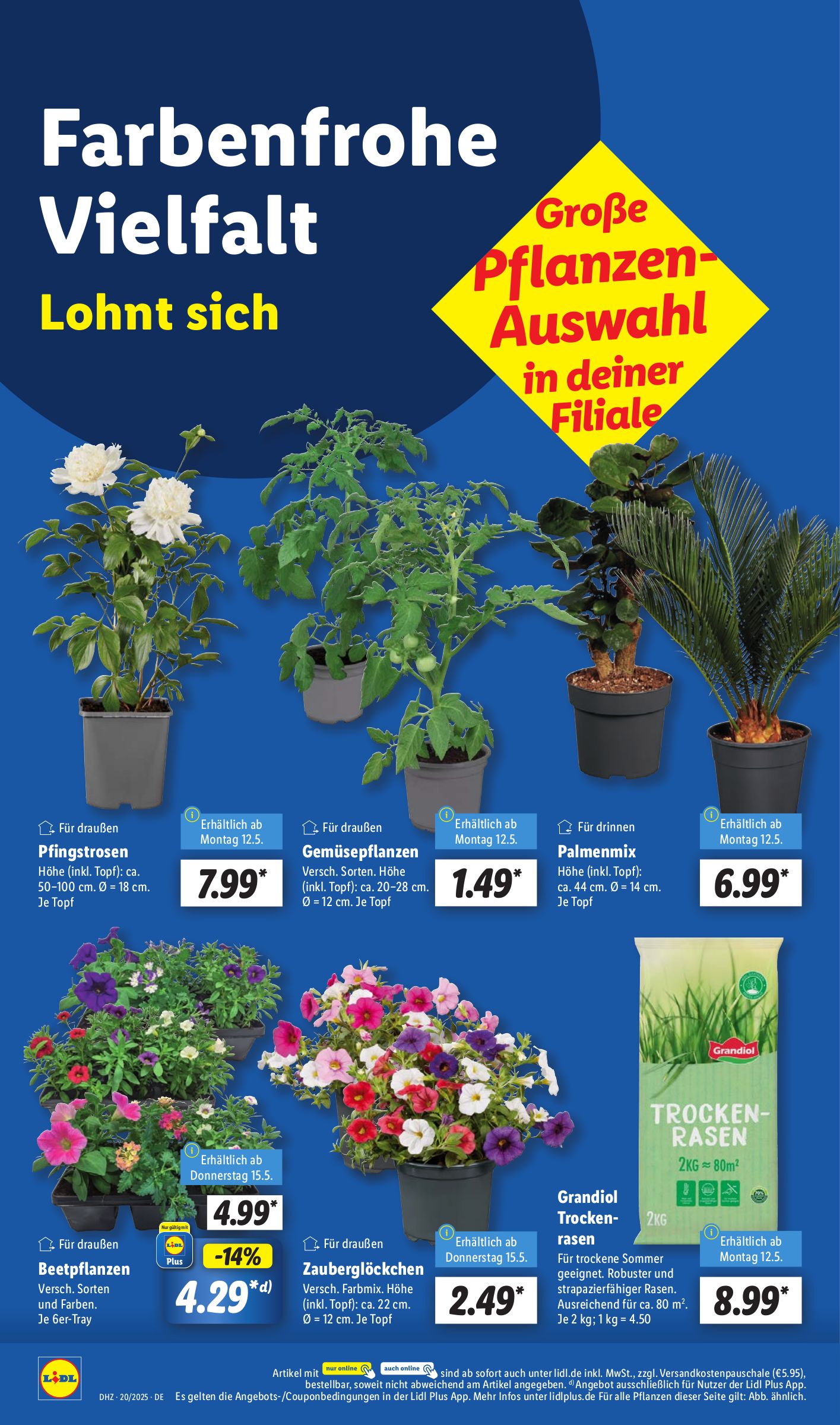 lidl - Lidl-Prospekt gültig von 12.05. bis 17.05. - page: 14 lidl - Lidl-Prospekt gültig von 12.05. bis 17.05. - page: 14