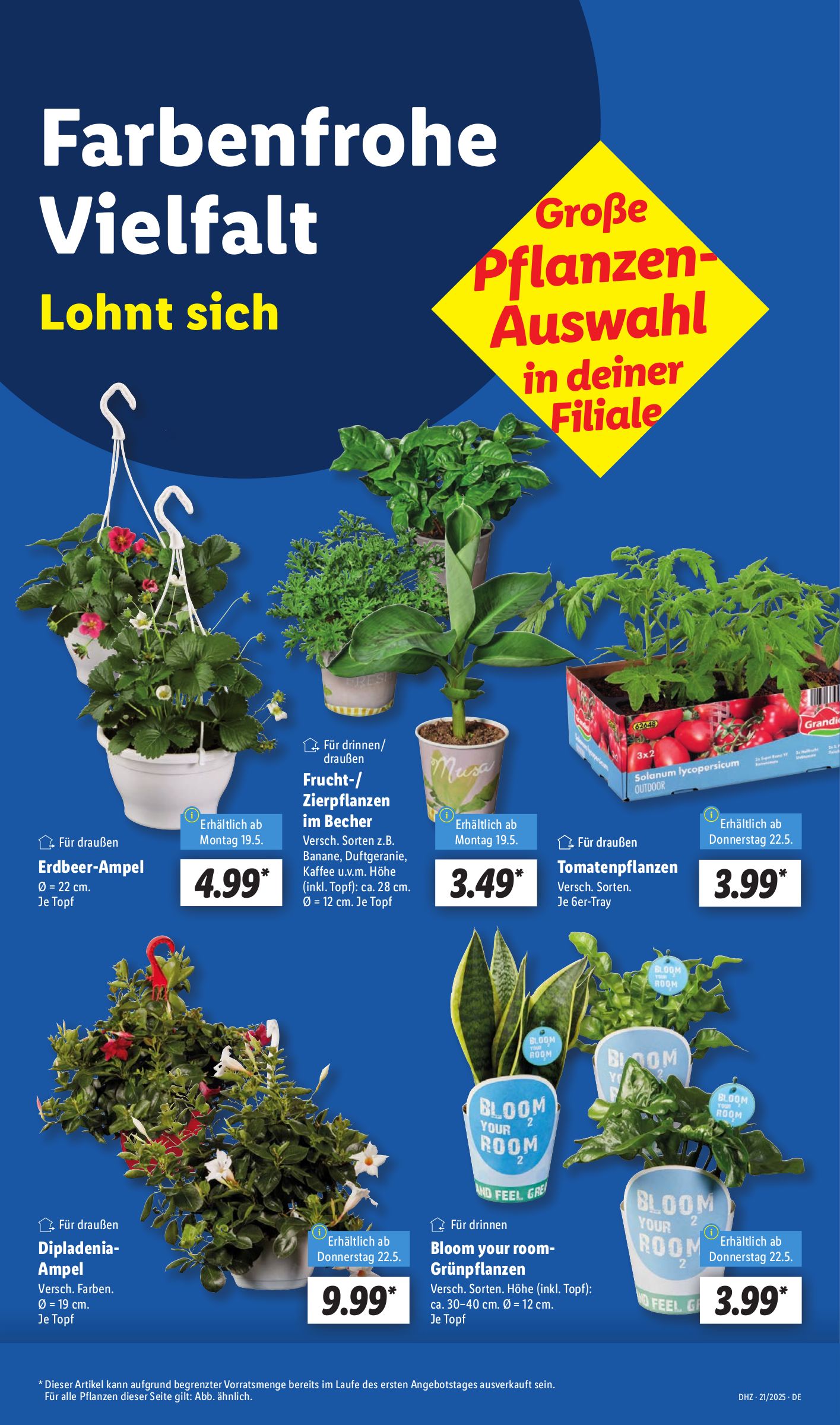 lidl - Lidl-Prospekt gültig von 19.05. bis 24.05. - page: 5 lidl - Lidl-Prospekt gültig von 19.05. bis 24.05. - page: 5