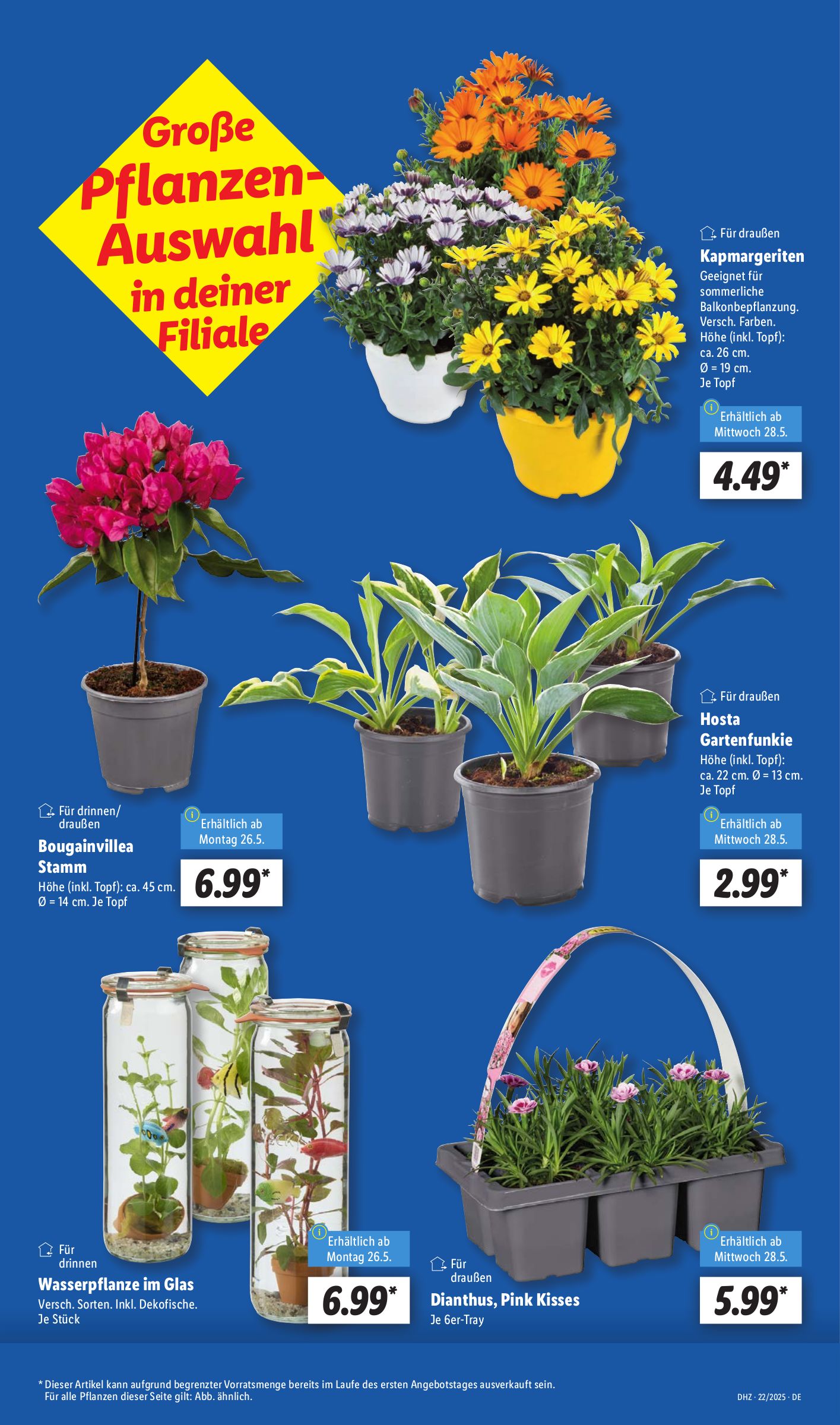 lidl - Lidl-Prospekt gültig von 26.05. bis 31.05. - page: 7 lidl - Lidl-Prospekt gültig von 26.05. bis 31.05. - page: 7