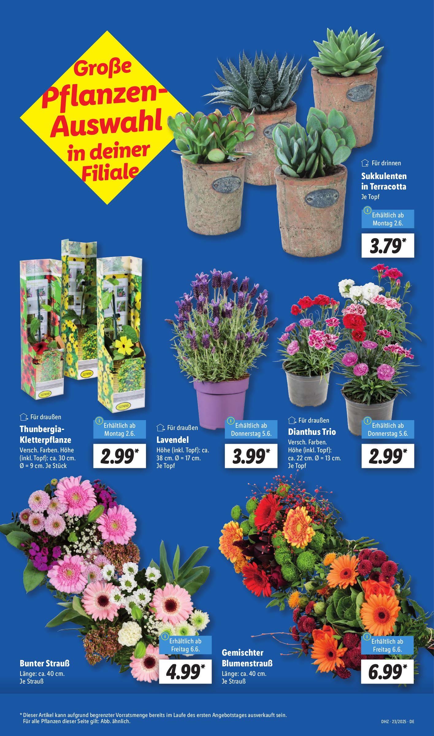 lidl - Lidl-Prospekt gültig von 02.06. bis 07.06. - page: 7 lidl - Lidl-Prospekt gültig von 02.06. bis 07.06. - page: 7