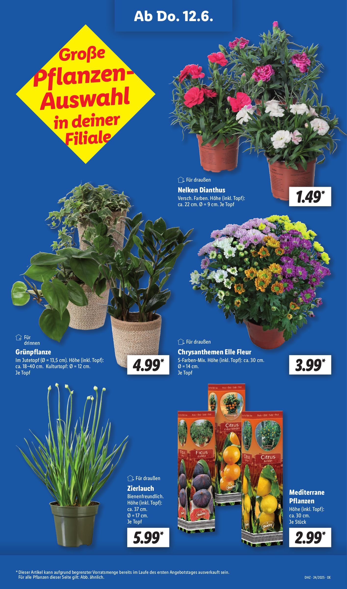 lidl - Lidl-Prospekt gültig von 10.06. bis 14.06. - page: 9 lidl - Lidl-Prospekt gültig von 10.06. bis 14.06. - page: 9