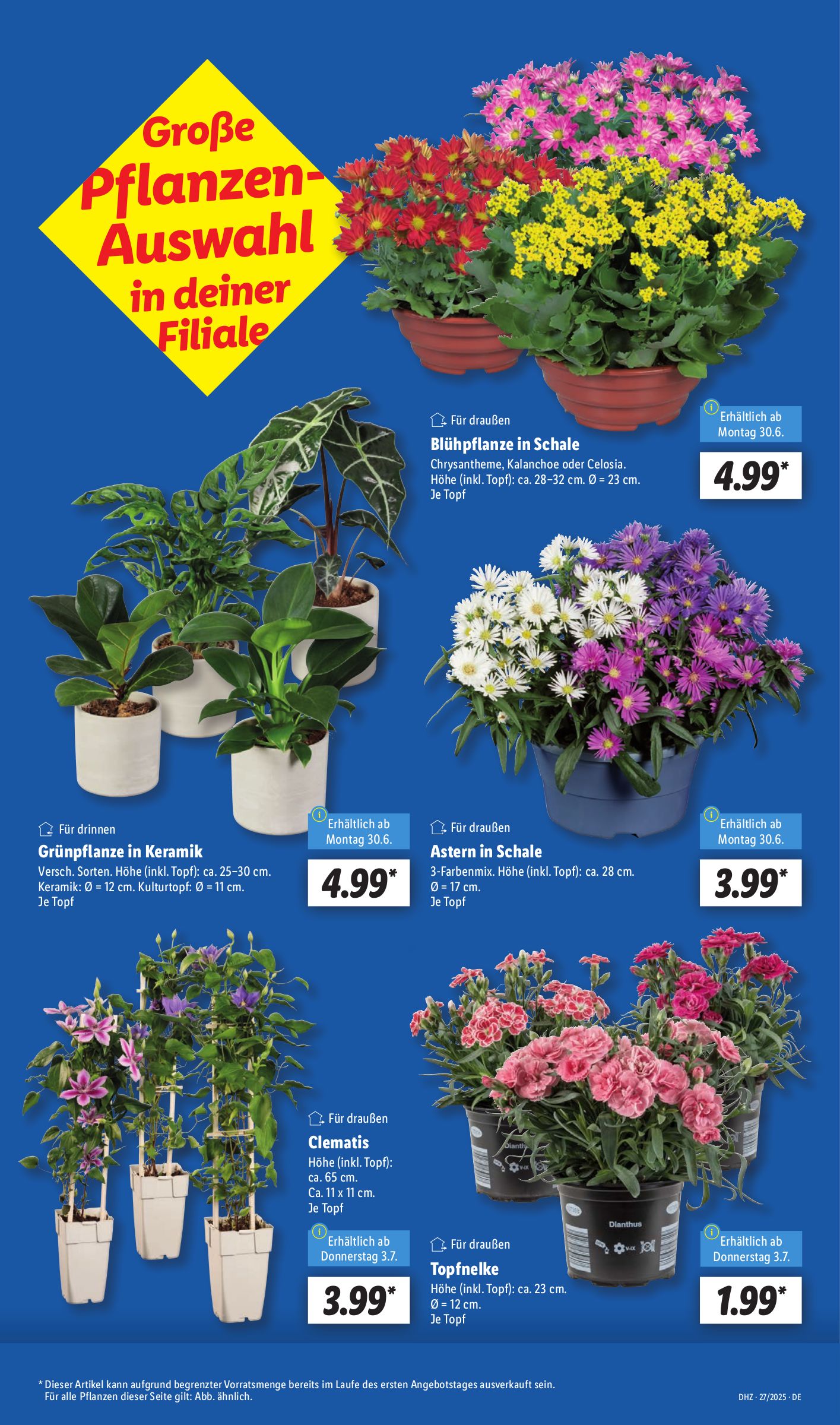 lidl - Lidl-Prospekt gültig vom 30.06. bis 05.07. - page: 7 lidl - Lidl-Prospekt gültig vom 30.06. bis 05.07. - page: 7