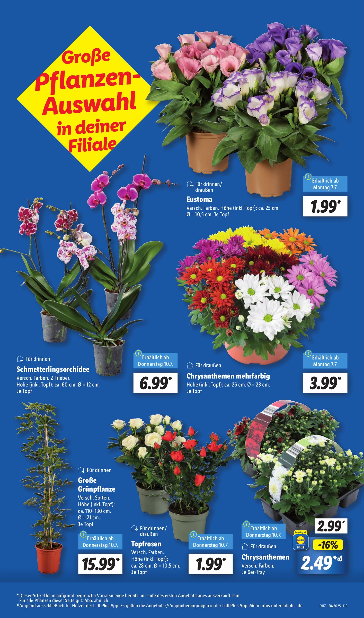 lidl - Lidl-Prospekt gültig vom 07.07. bis 12.07. - page: 5 lidl - Lidl-Prospekt gültig vom 07.07. bis 12.07. - page: 5